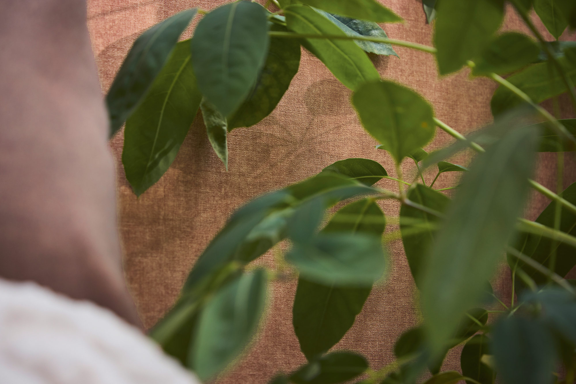 AS Vliestapete MS Hot Spots Unis Braun 395668