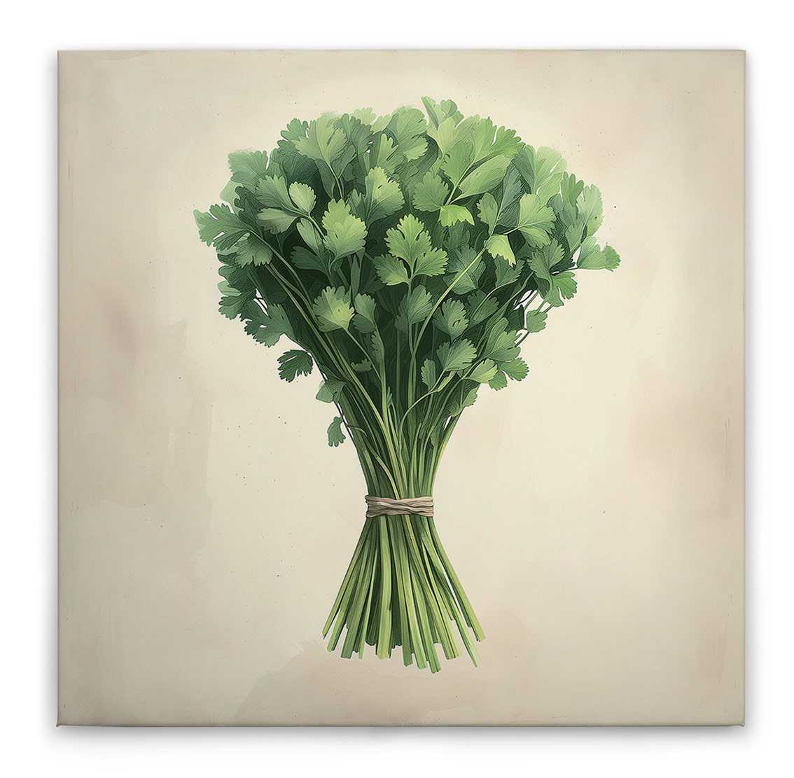 AS Leinwandbild Koriander DD132939