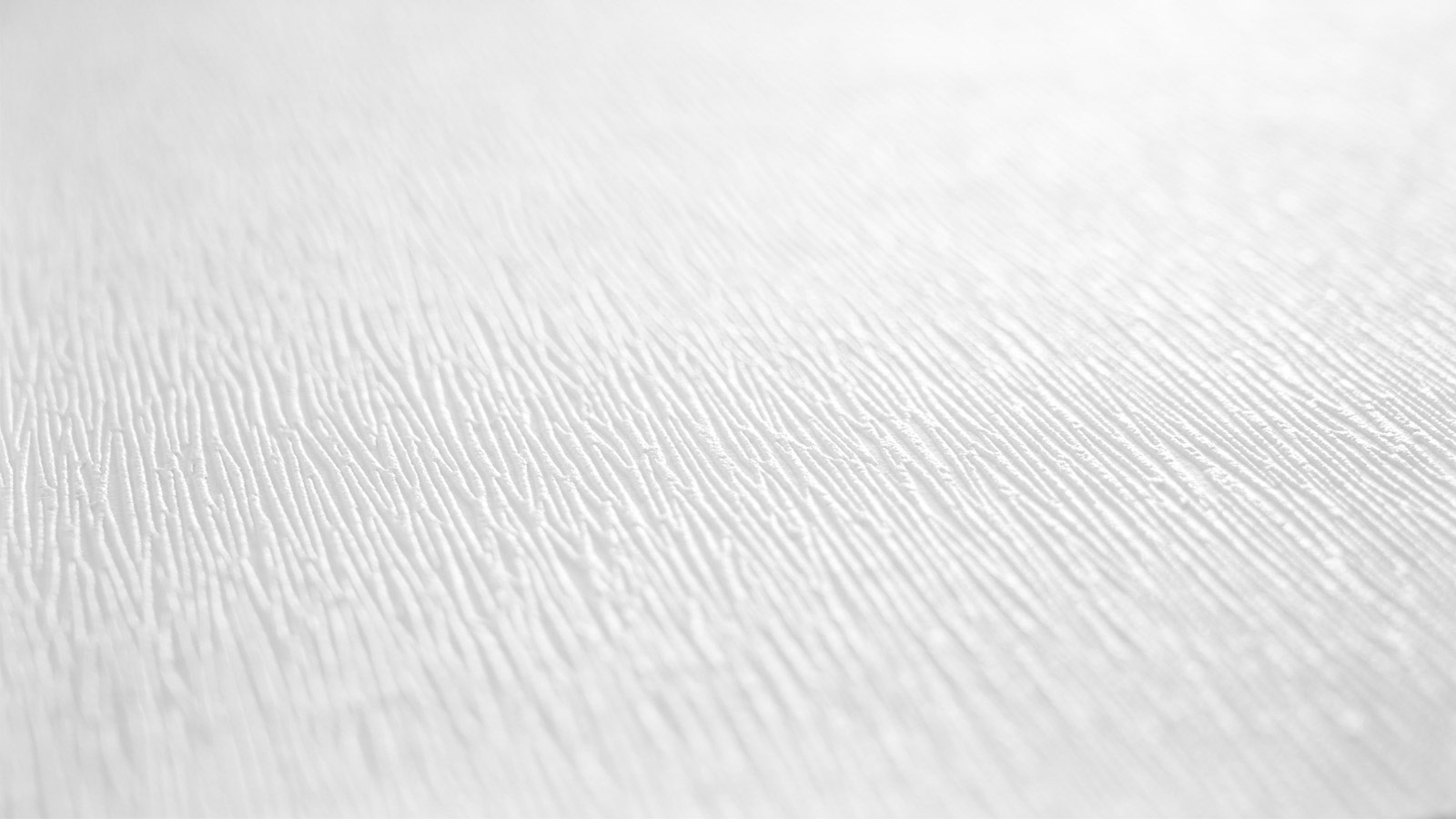 AS Vliestapete Meistervlies 8 überstreichbar 392781