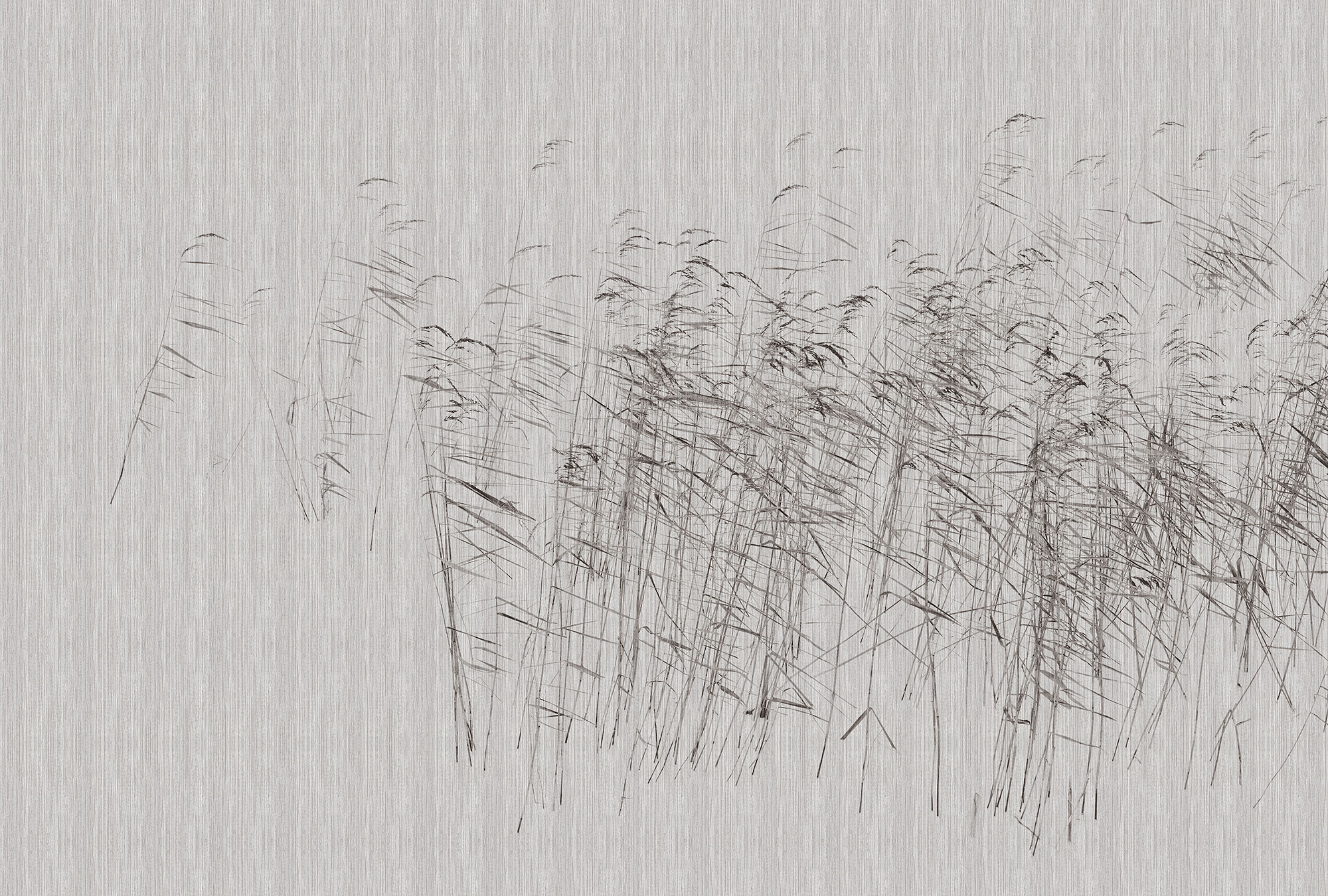 AS Fototapete Walls by Patel 3 Natur DD122056