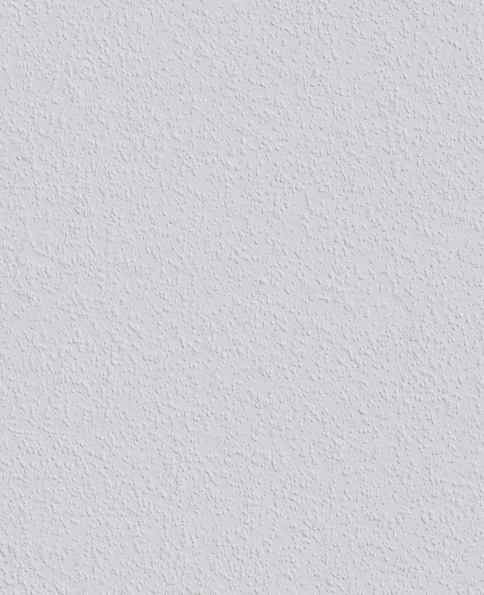 Erfurt Vlies-Rauhfaser-Tapete Rustic | Einzelrolle