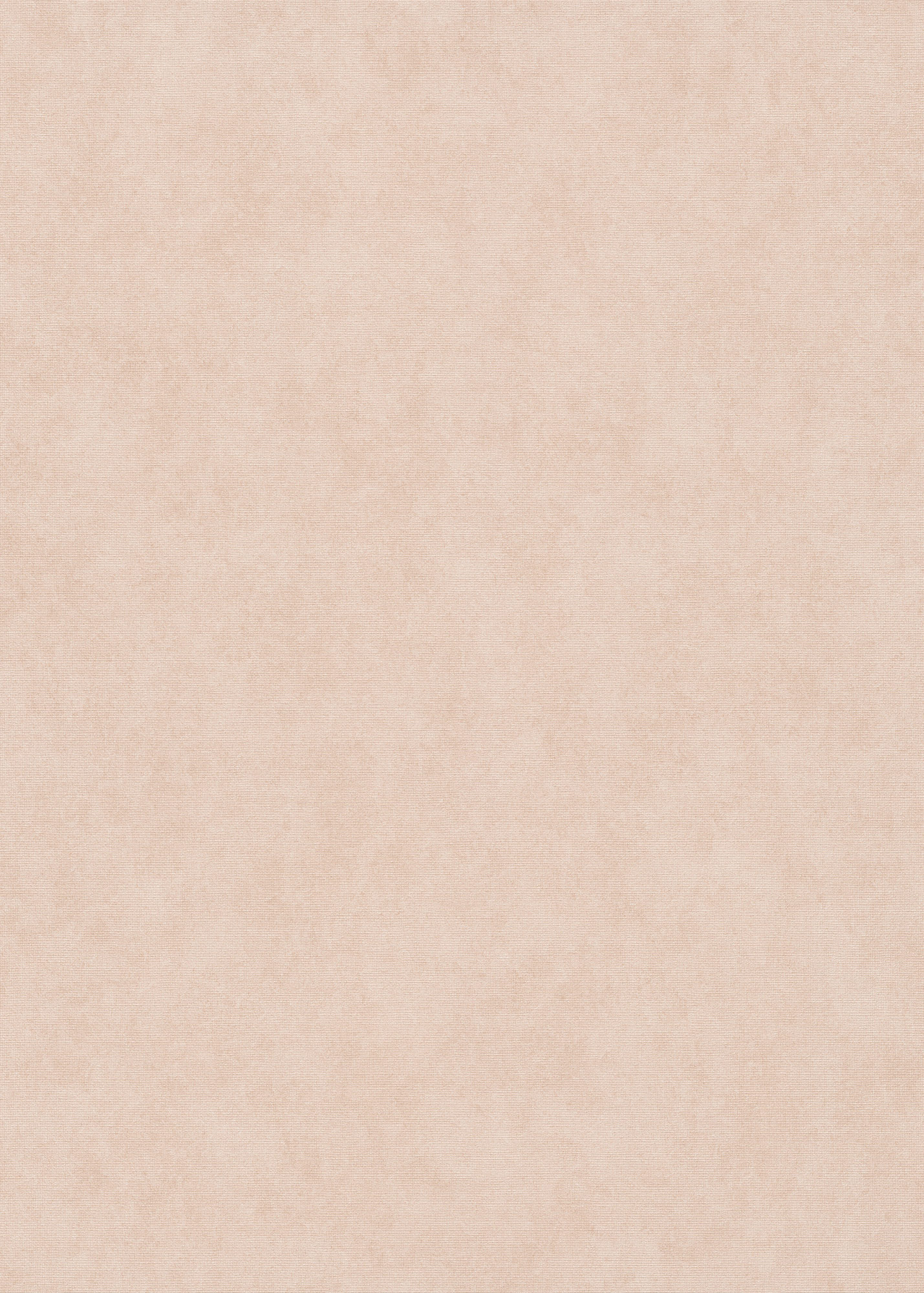 Erismann Vliestapete Elysium rosa 1047305