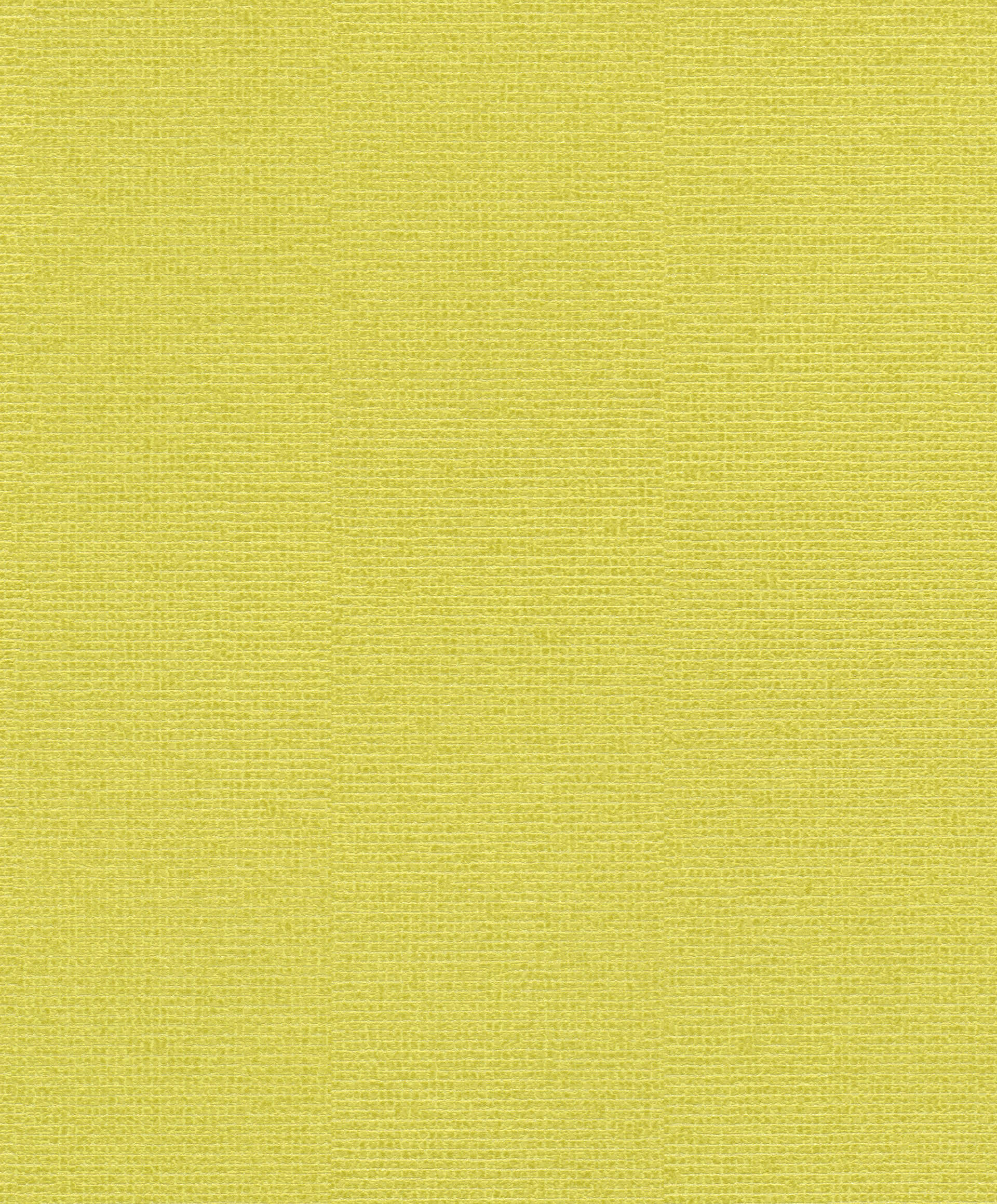 Rasch Vliestapete Cato 800647