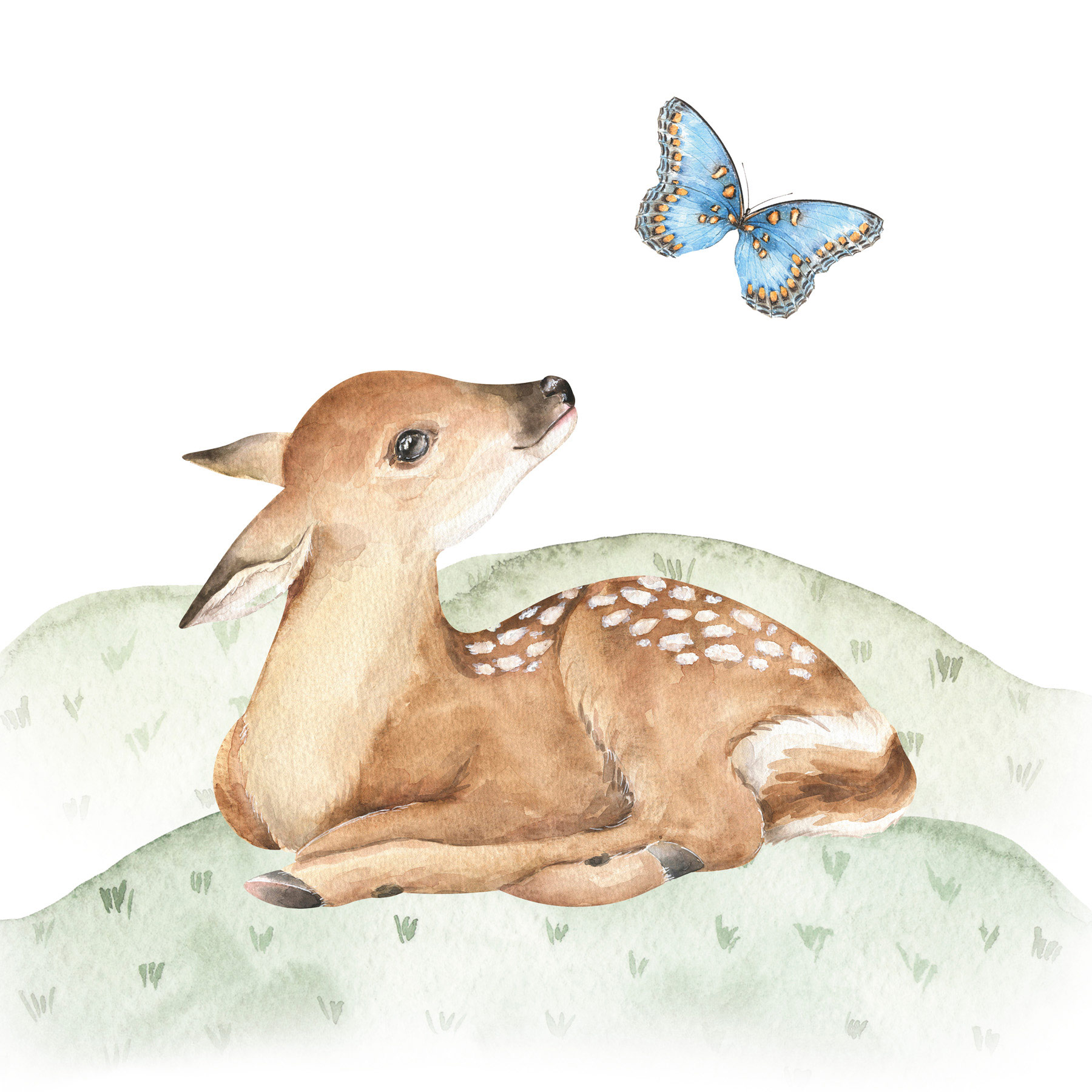 AS Leinwandbild Forest Friends 1 DD129430