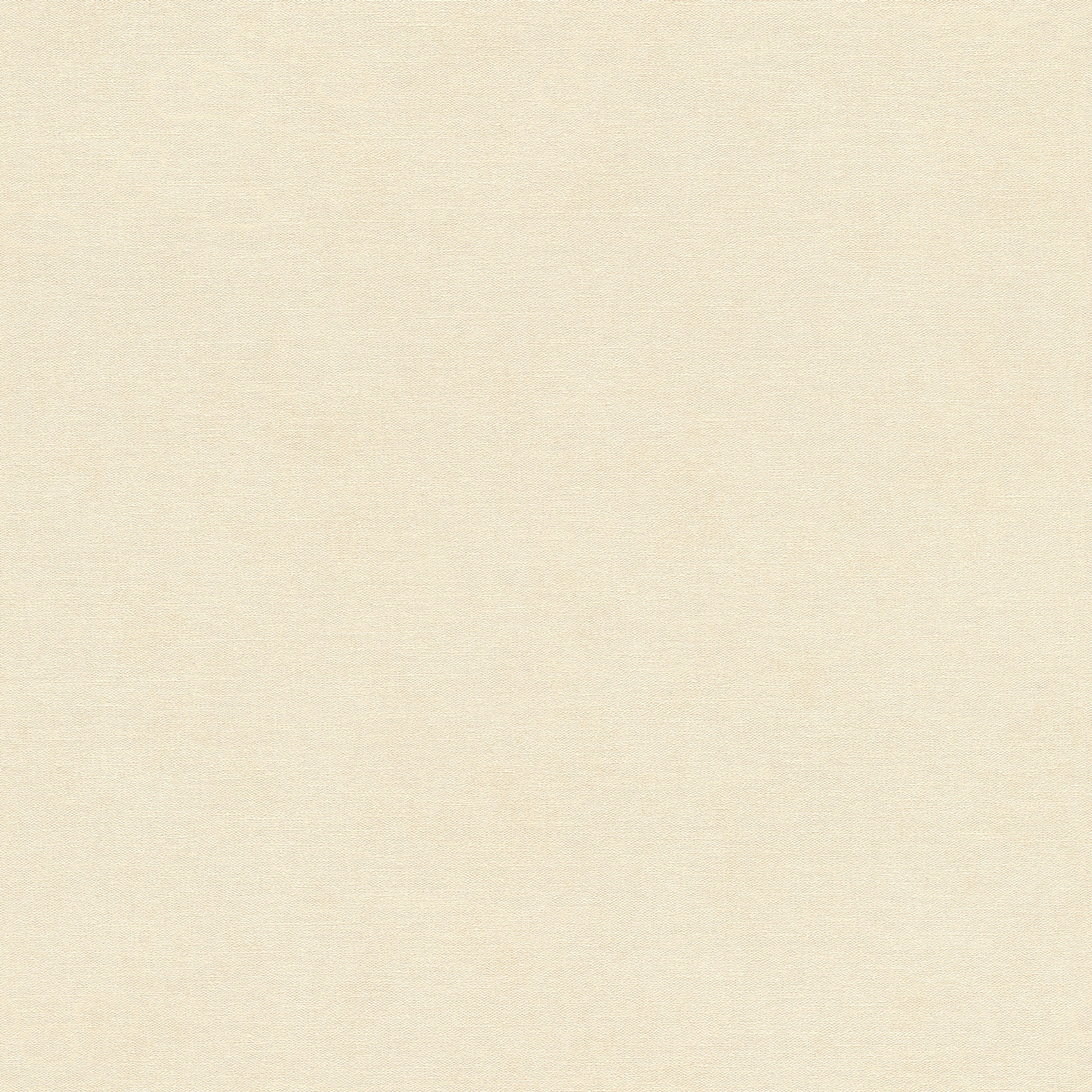 Rasch Vliestapete Beachhouse Beige 408256