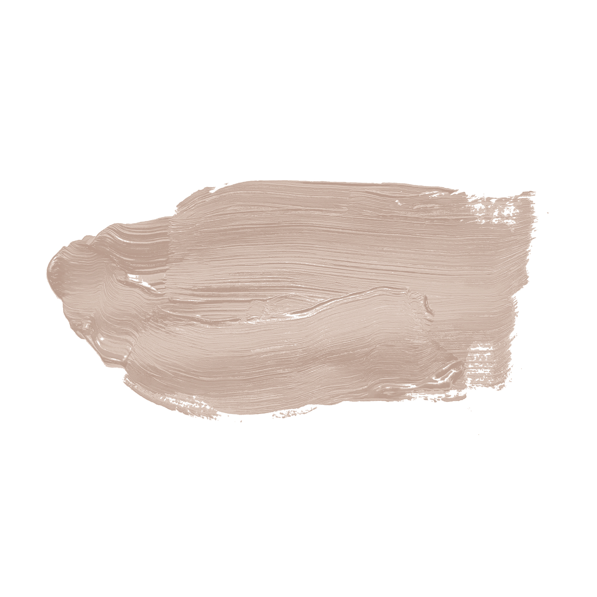 AS Wandfarbe The Color Kitchen TCK6017 Chilled Chai Latte 2,