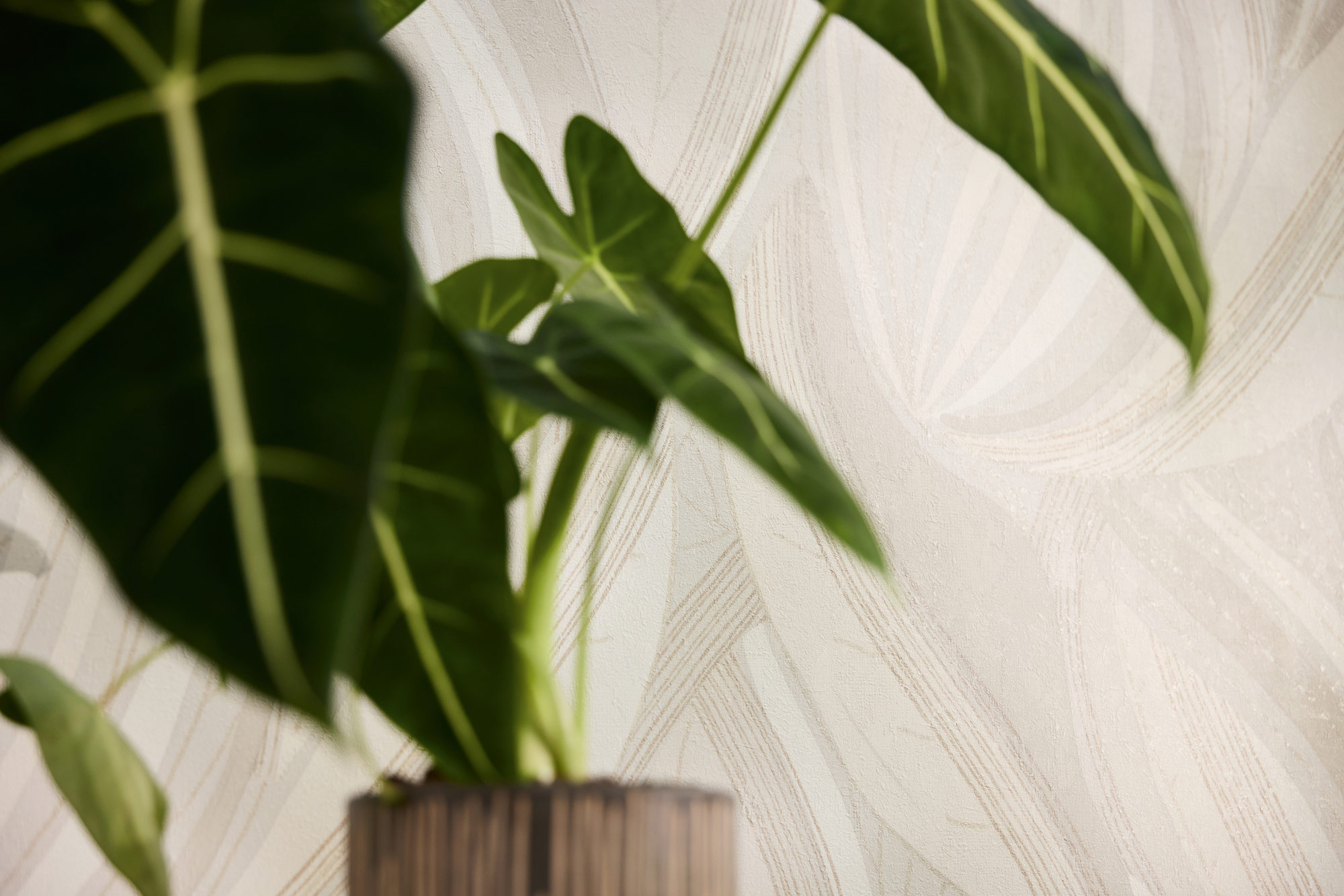 AS Vliestapete MS Hot Spots Floral Creme 786554