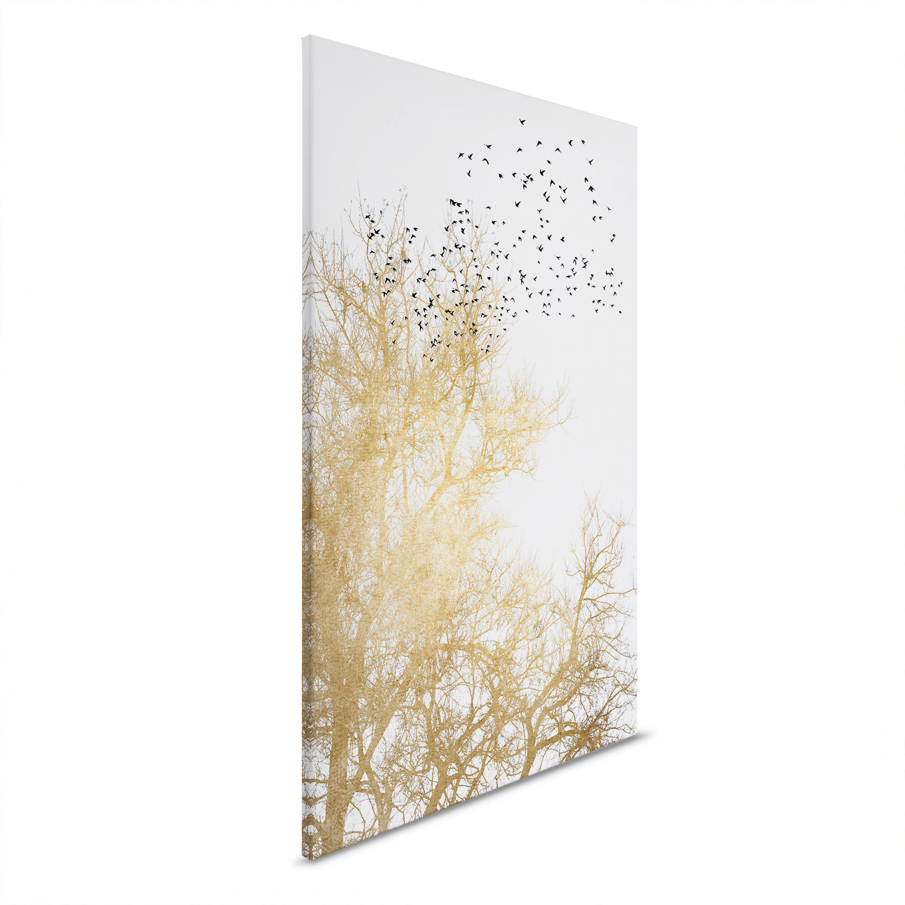 AS Leinwandbild Golden Skies DD131767