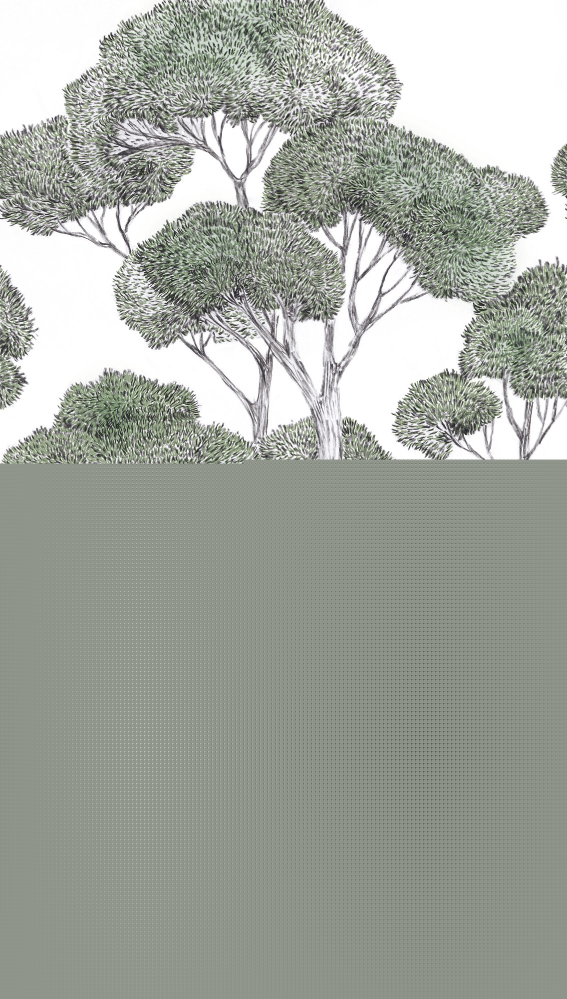 AS Fototapete MS Vibes & Styles Bäume Grün 792166