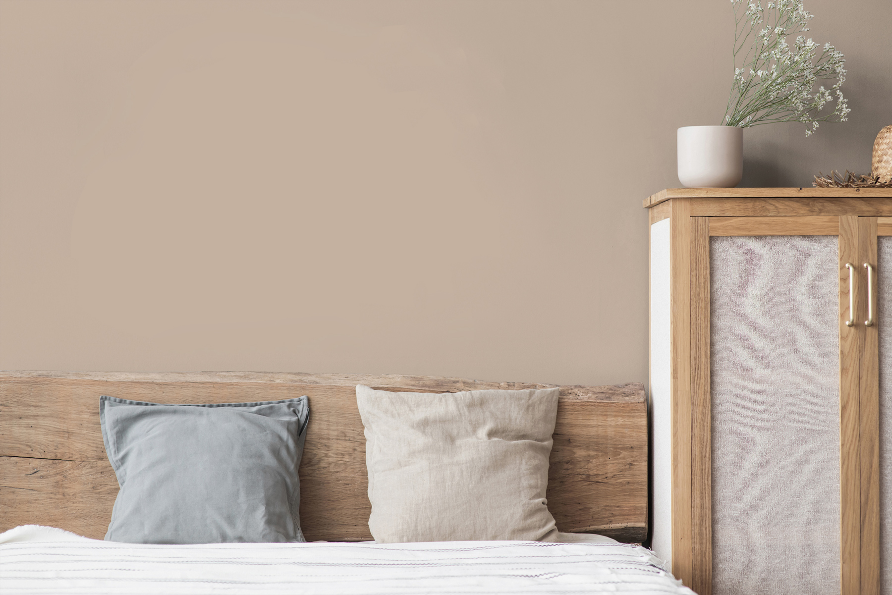 AS Wandfarbe The Color Kitchen TCK6015 Matte Mushroom 2,5 L