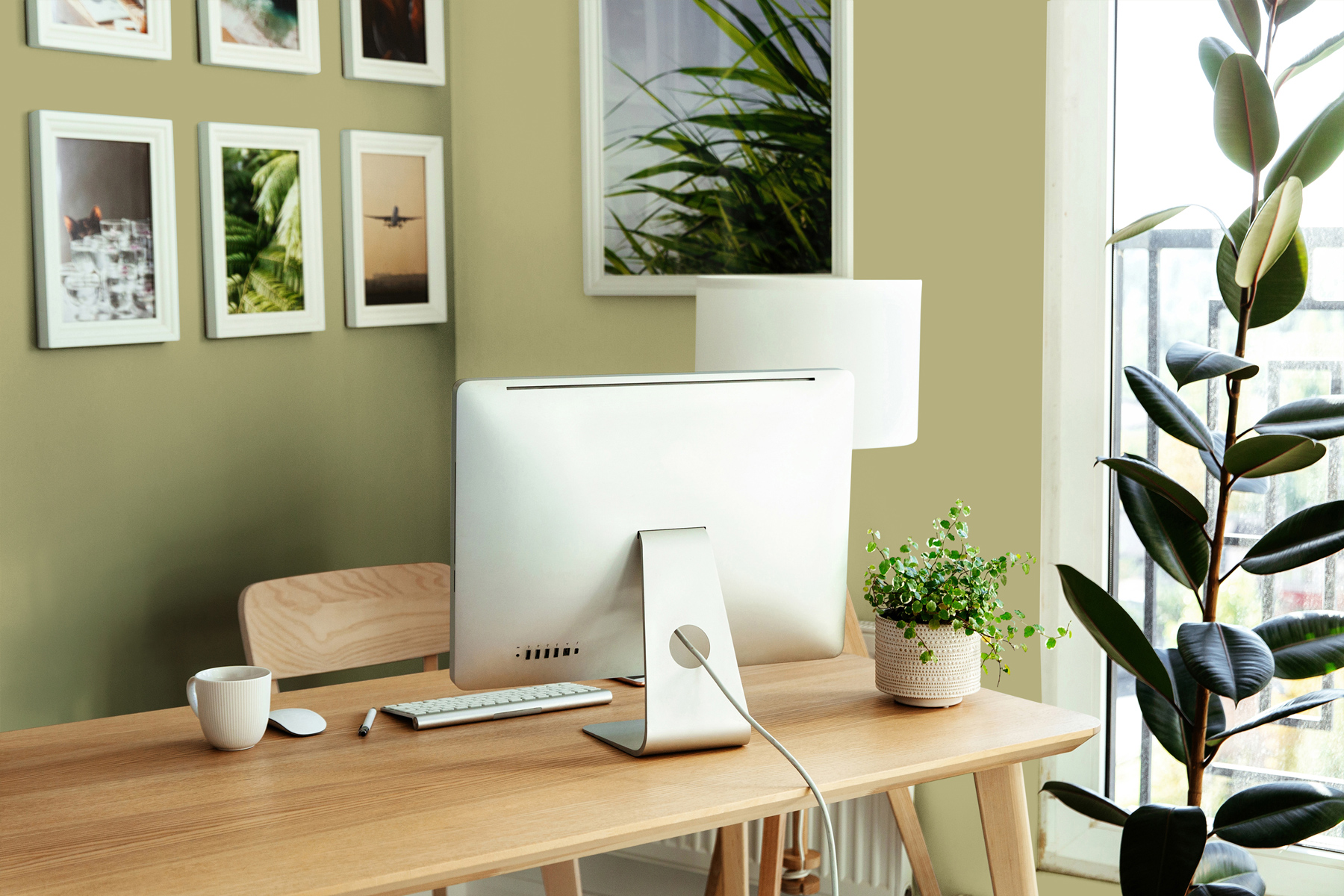 AS Wandfarbe The Color Kitchen TCK4010 Mellow Matcha 2,5 L