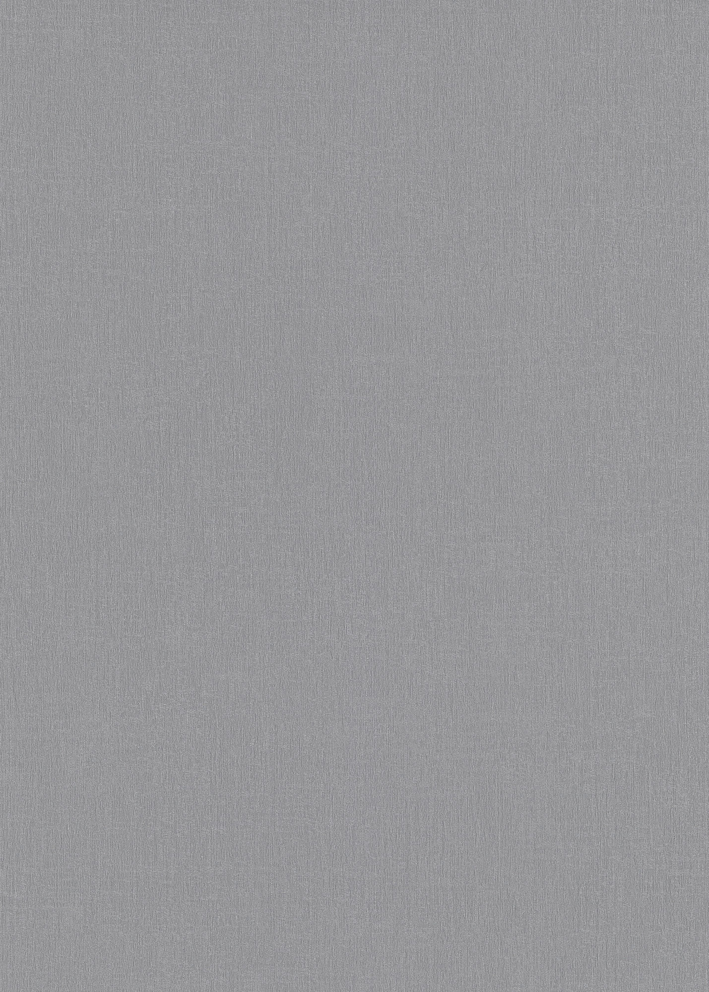 Erismann Vliestapete Spotlight 2 grau 1043747