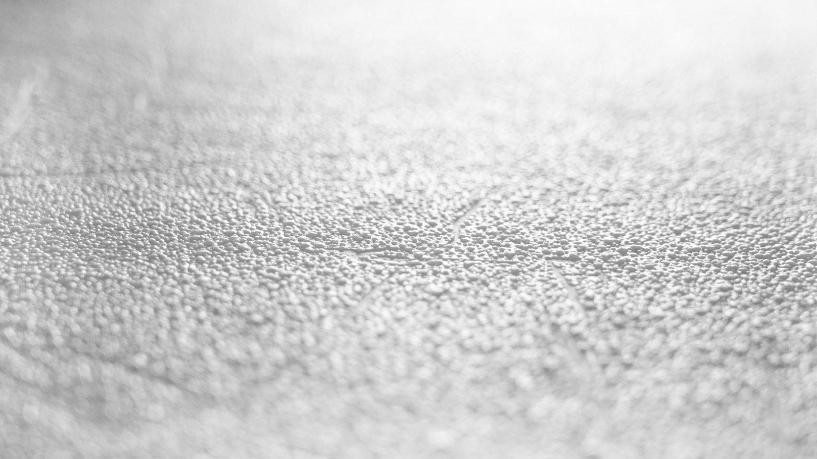 AS Vliestapete Meistervlies 8 überstreichbar 571212