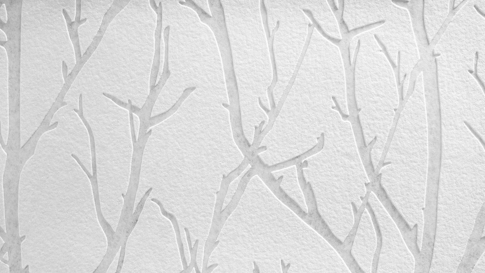 AS Vliestapete Meistervlies 8 überstreichbar 321015