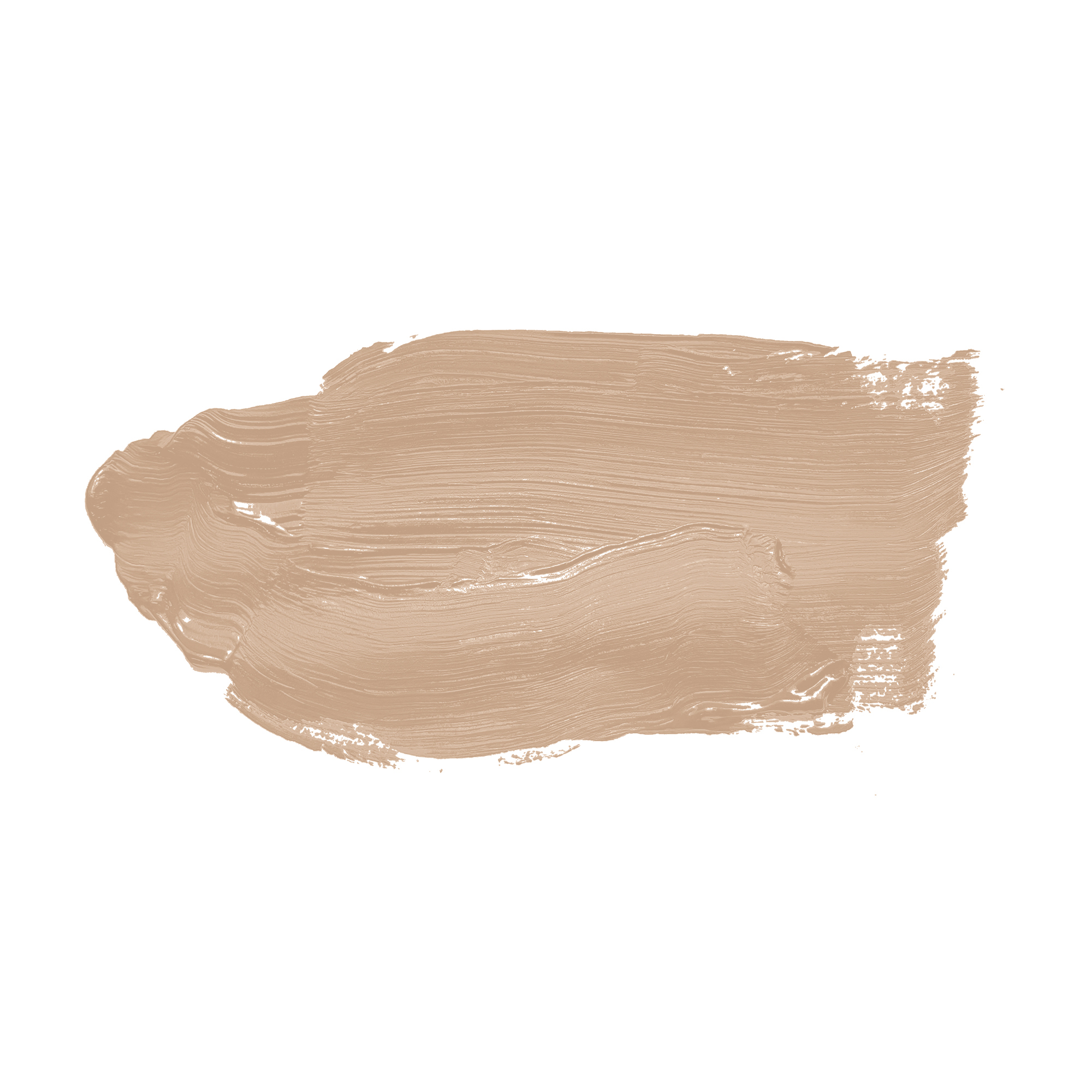 AS Wandfarbe The Color Kitchen TCK6010 Latte Macchhiato 2,5