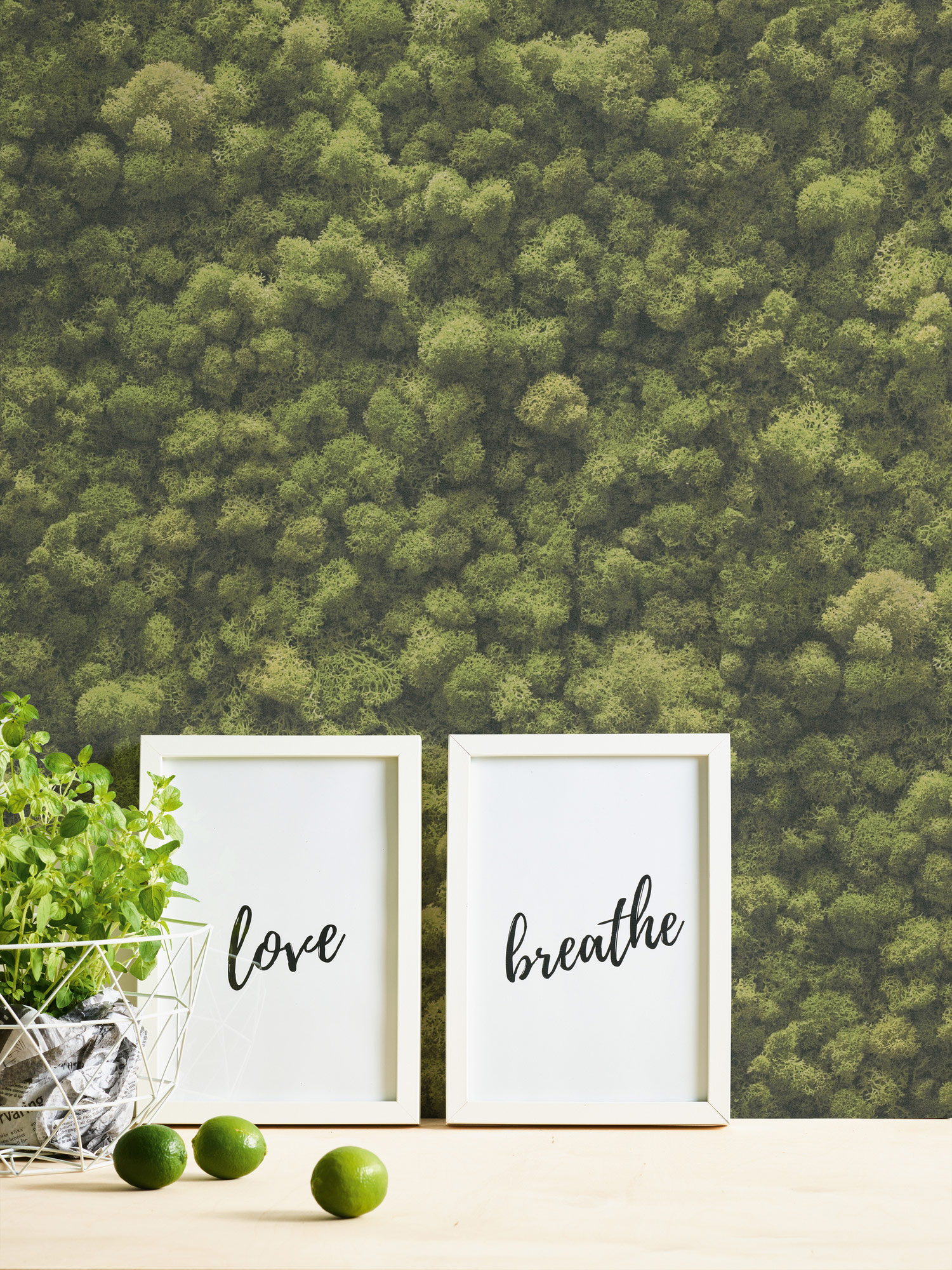 AS Vliestapete PintWalls II Mooswand Grün 394051