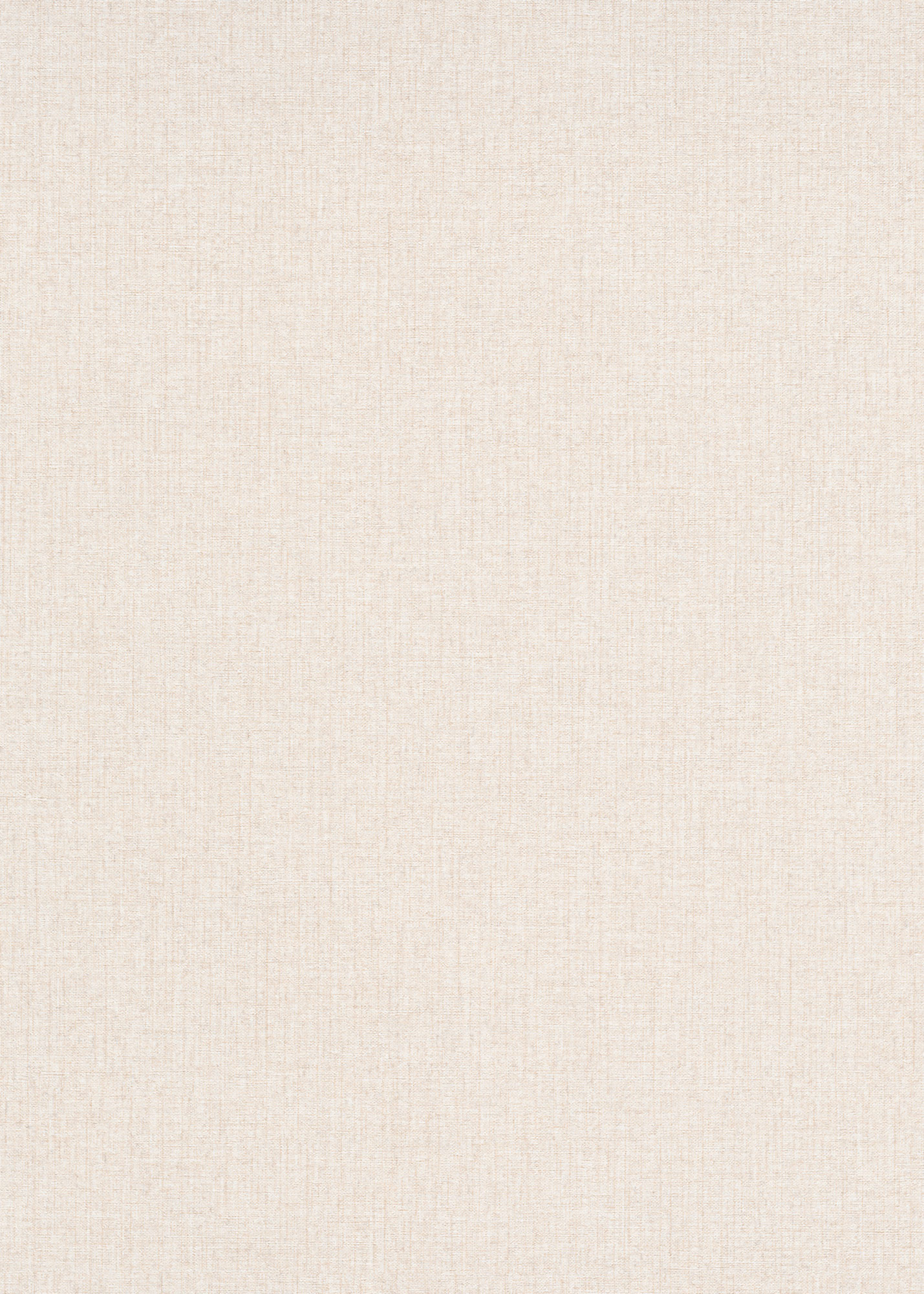 Erismann Vliestapete Code Nature beige 1021502