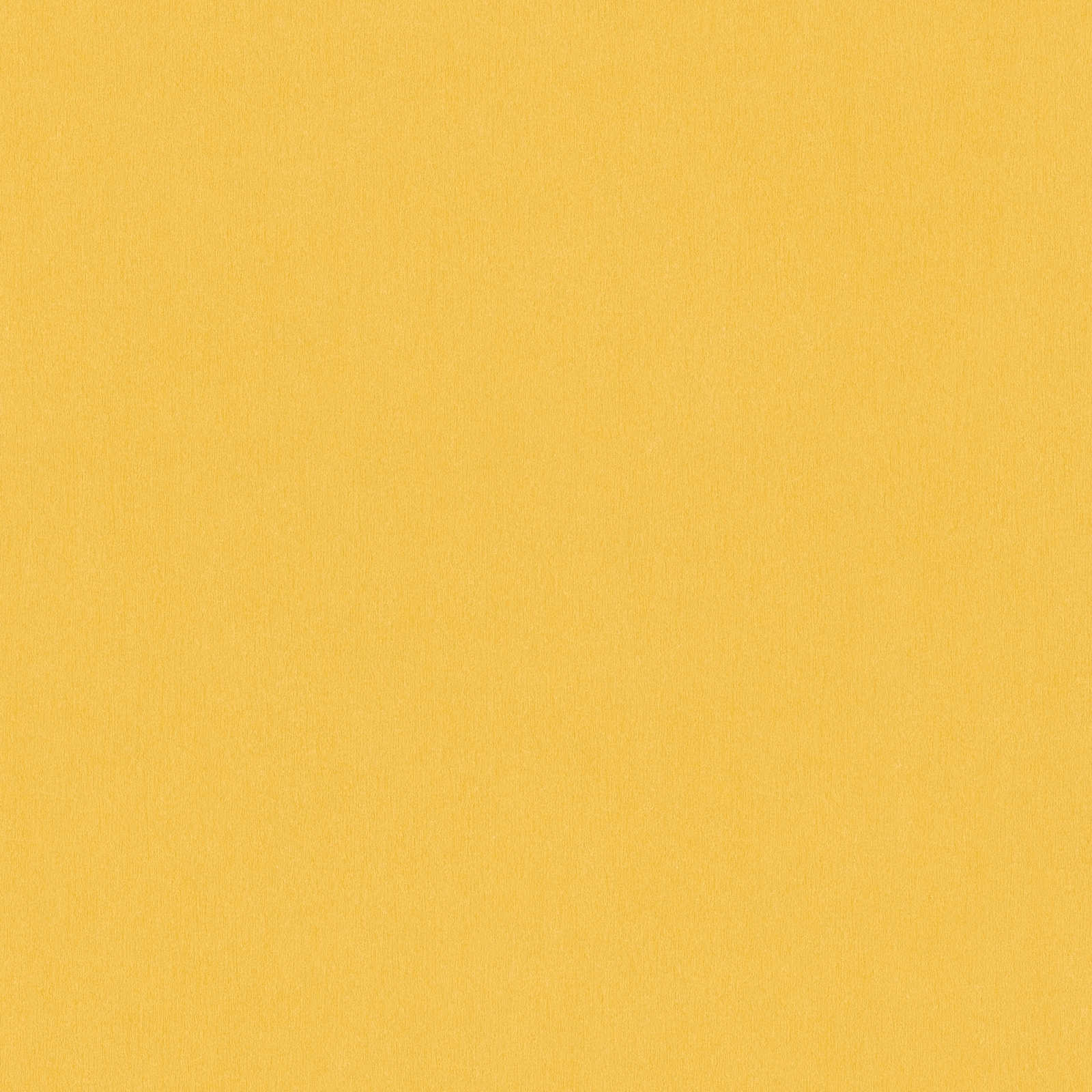 AS Vliestapete Little Love Unitapete 383143