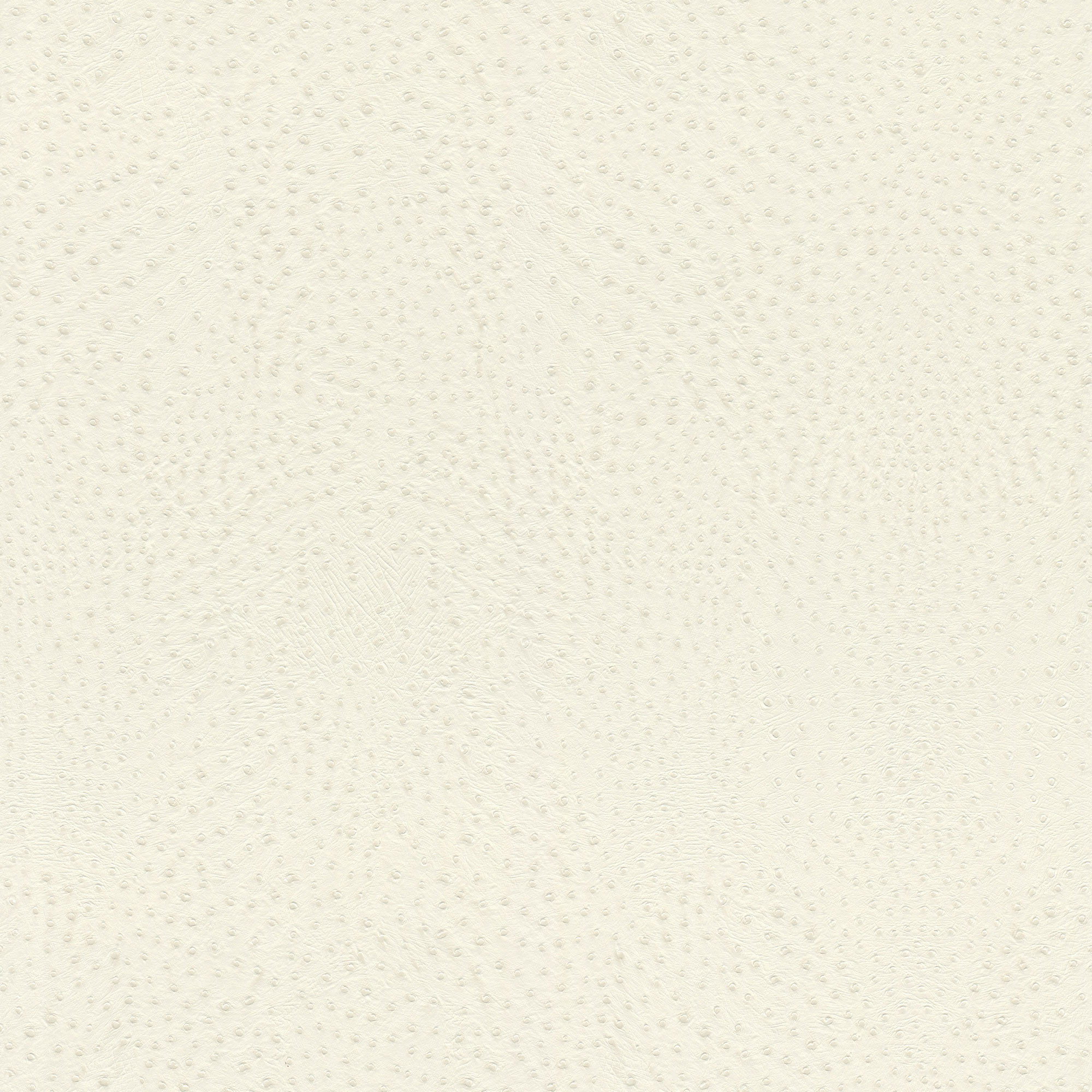 Rasch Vliestapete African Queen 3 Lederoptik 751536