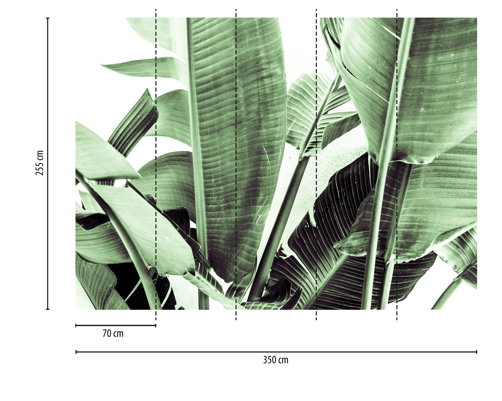AS Fototapete Designwalls 2 Natur Pflanzen DD123476