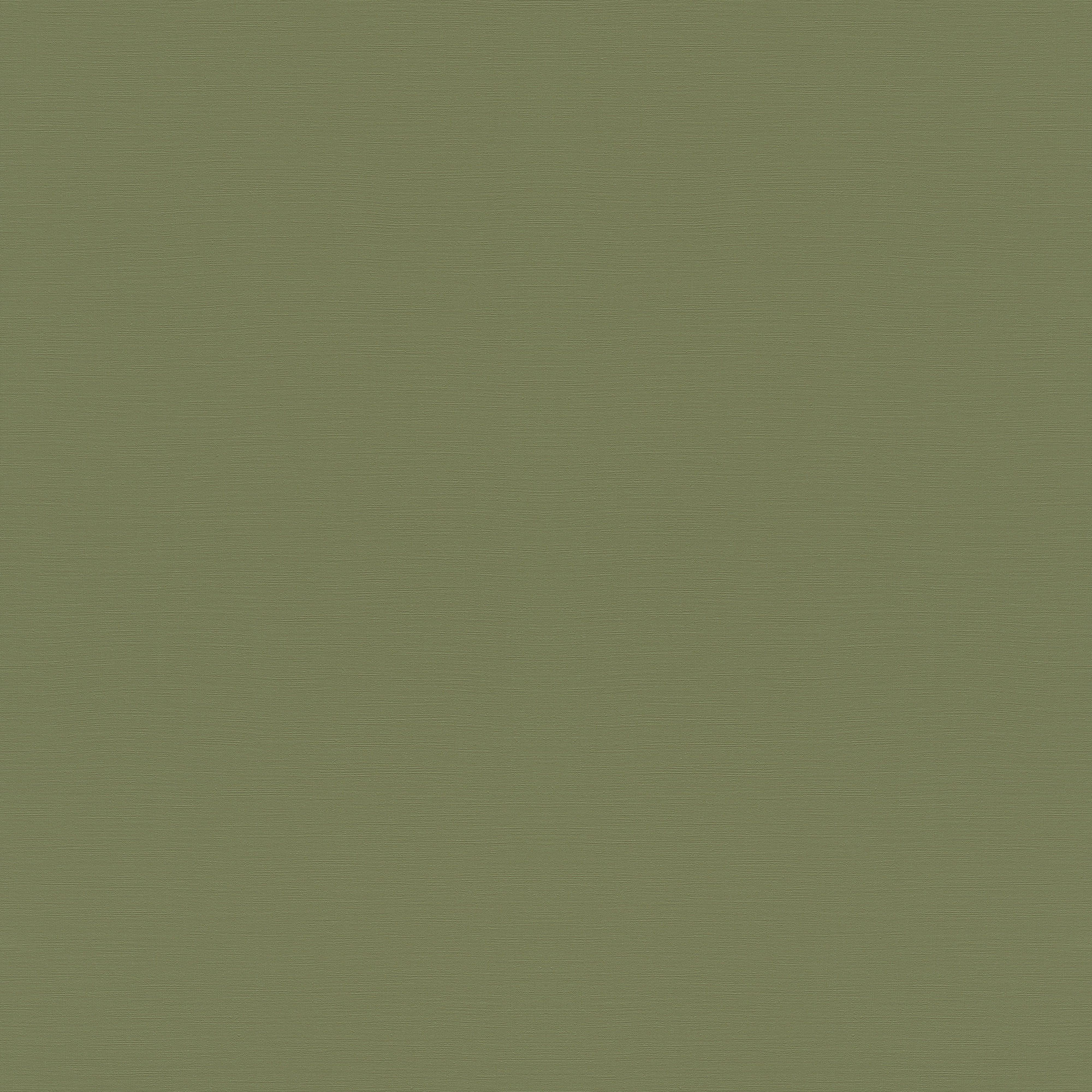 Rasch Vliestapete Allegretto Grün-Moosgrün 687538