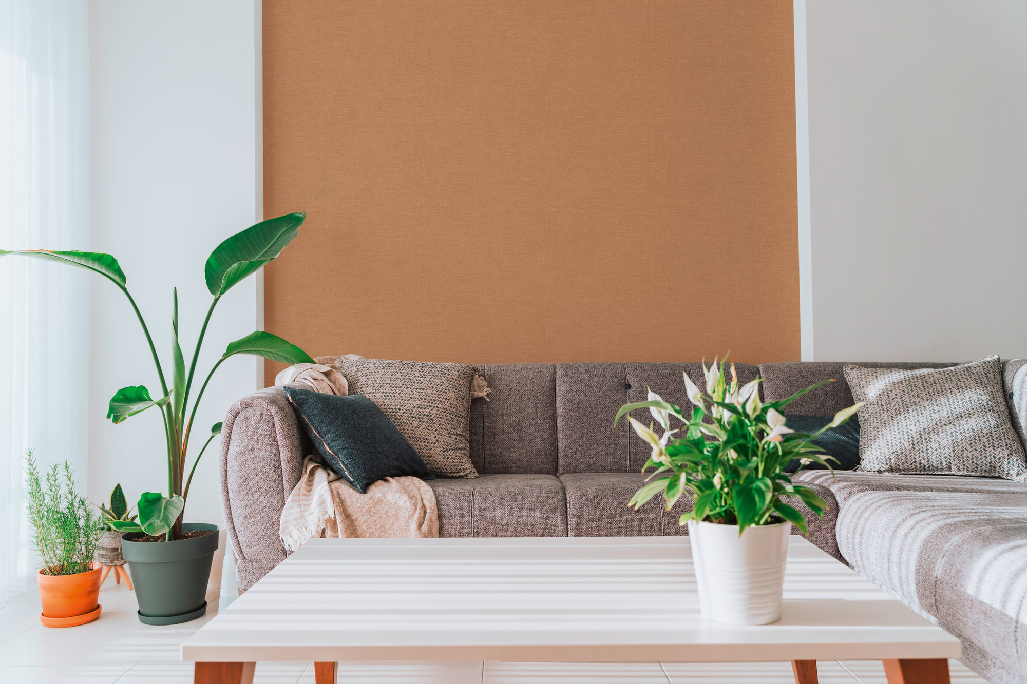 AS Vliestapete PintWalls 3 Unitapete Orange 791659