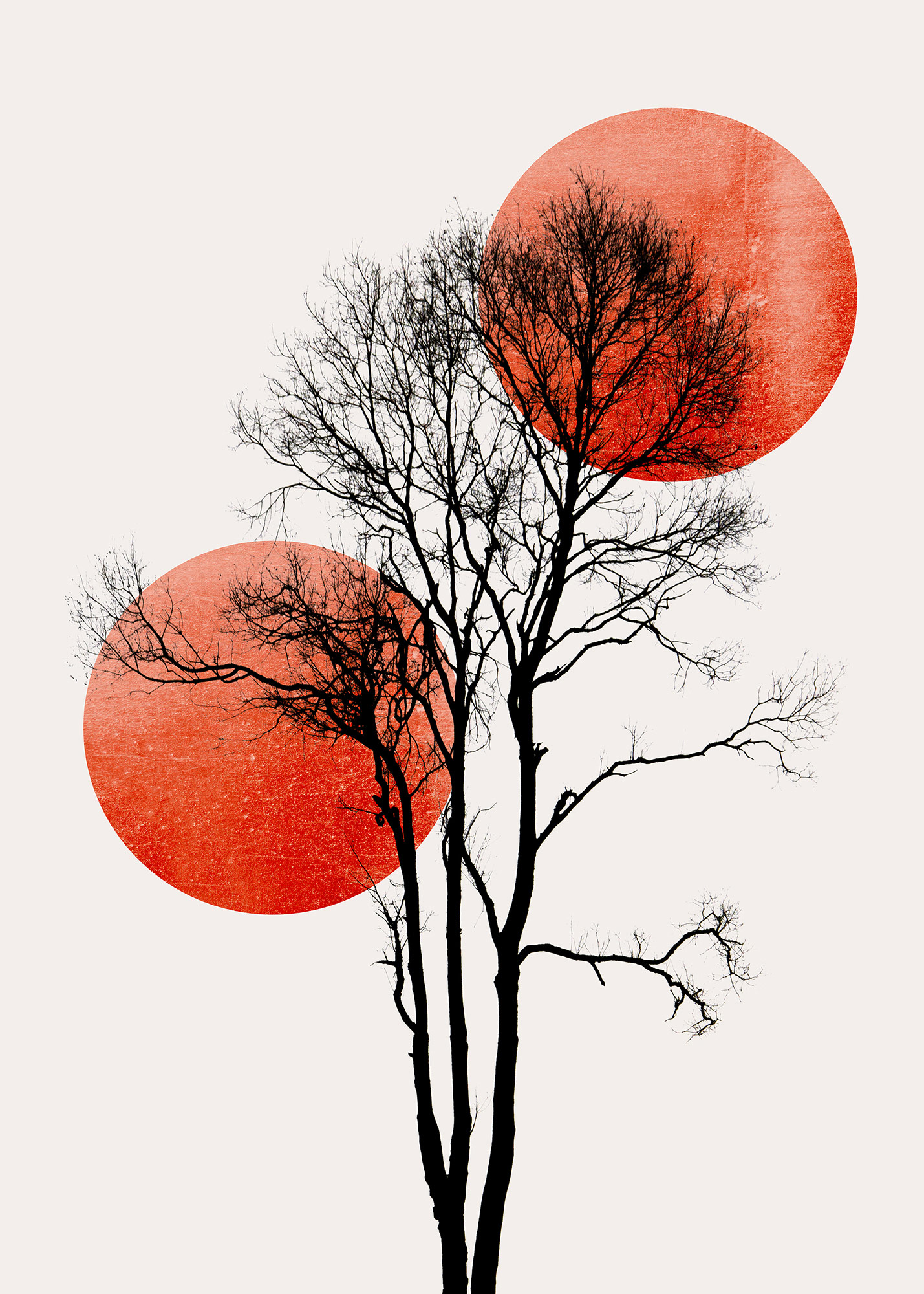 AS Fototapete ARTist Baum DD119901 AS Fototapete ARTist Baum DD119901