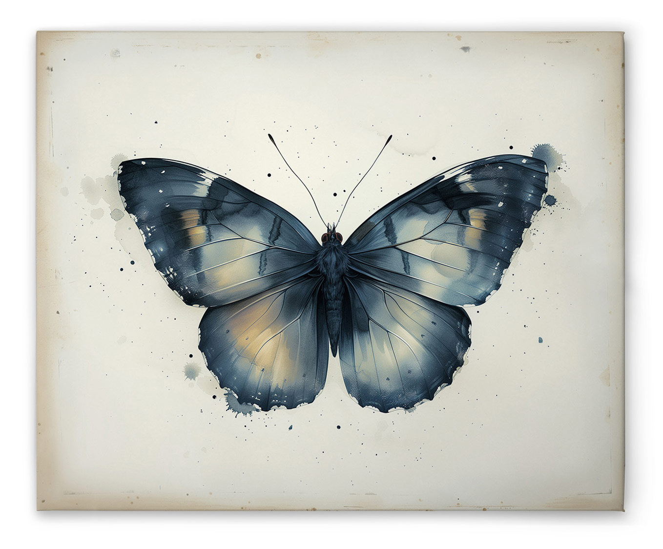 AS Leinwandbild Butterfly DD132886