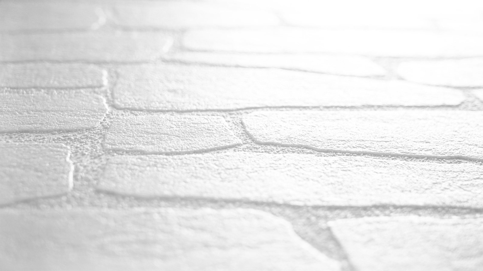 AS Vliestapete Meistervlies 8 überstreichbar 355515