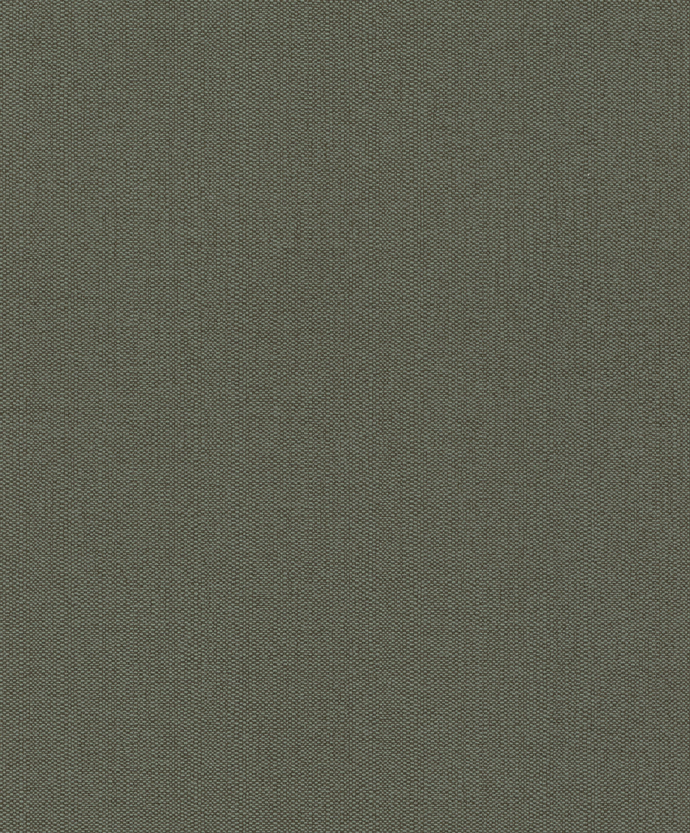 Emil & Hugo Vliestapete Plains Unitapete 229188