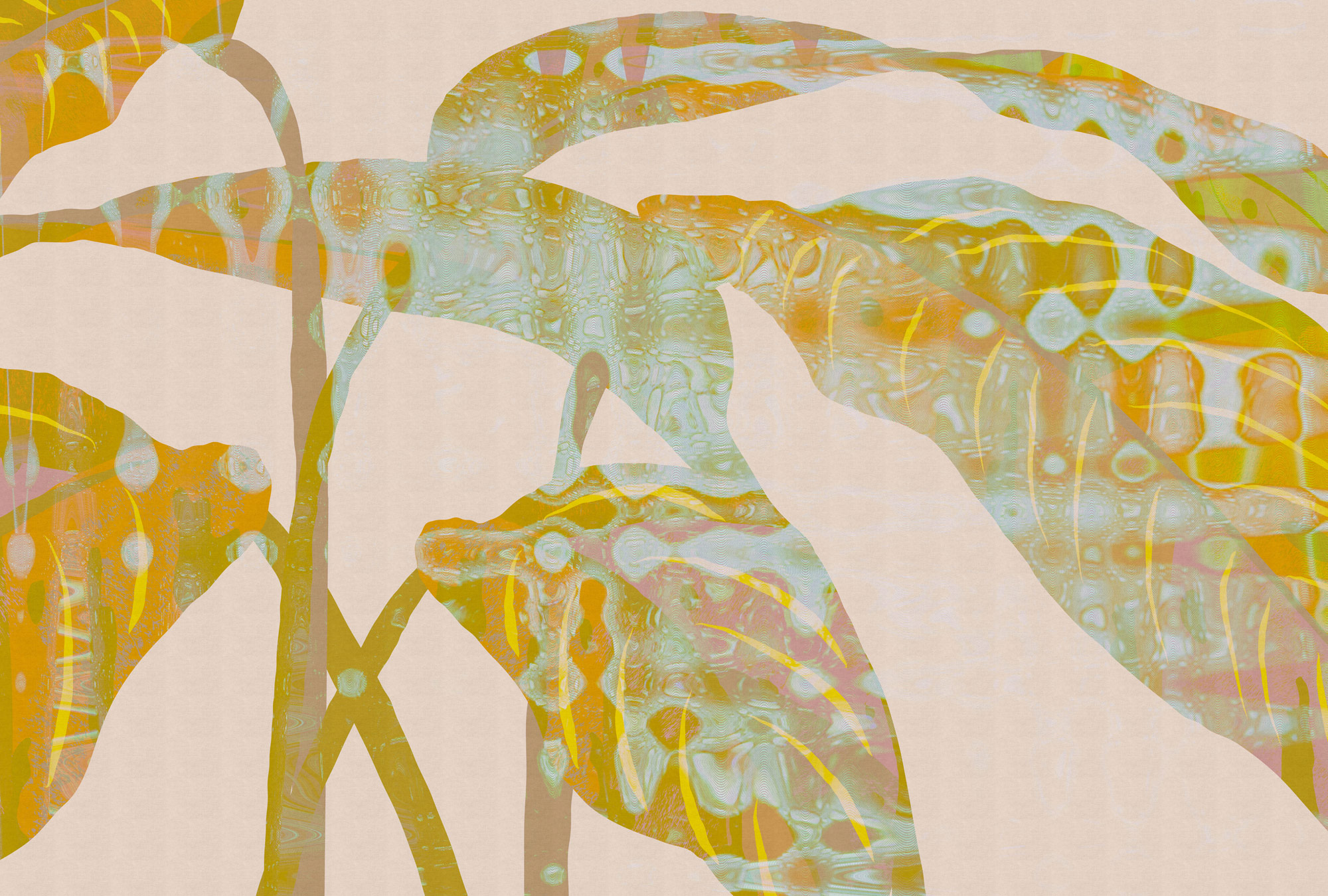 AS Fototapete Walls by Patel 5 Blätter Orange DD135113