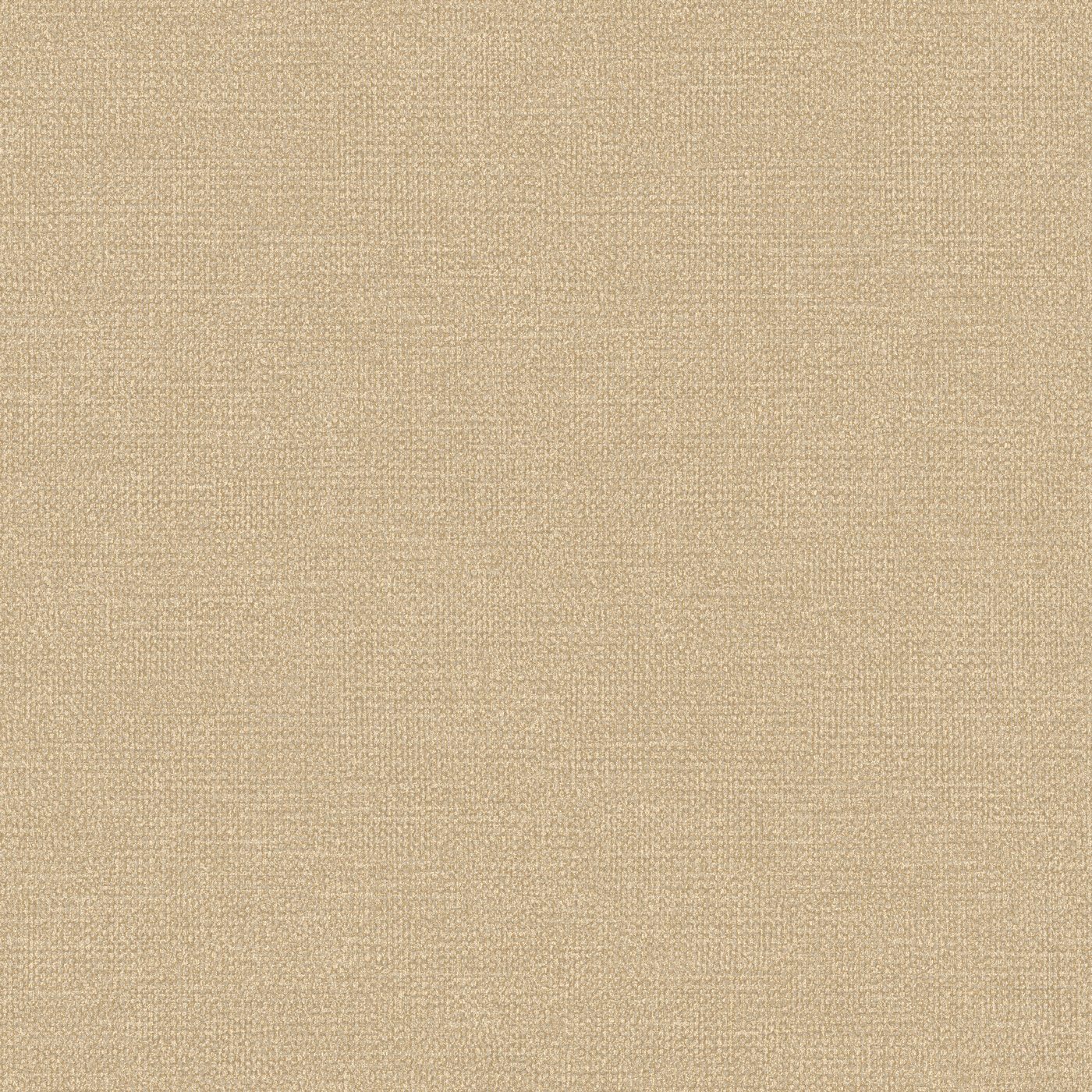 Thomas Vliestapete Meditate braun Unitapete RE25123