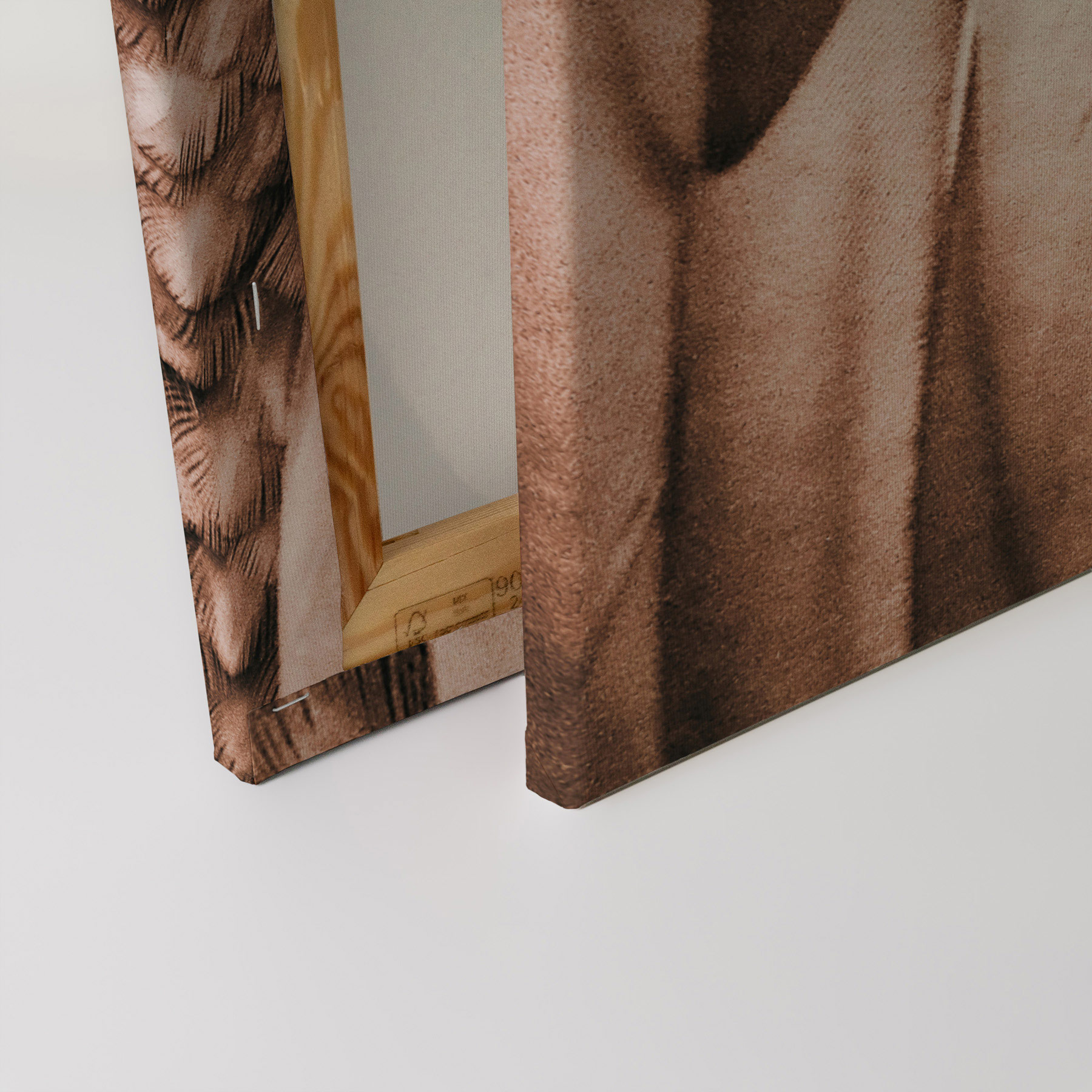 AS Leinwandbild Feathers 1 DD131864