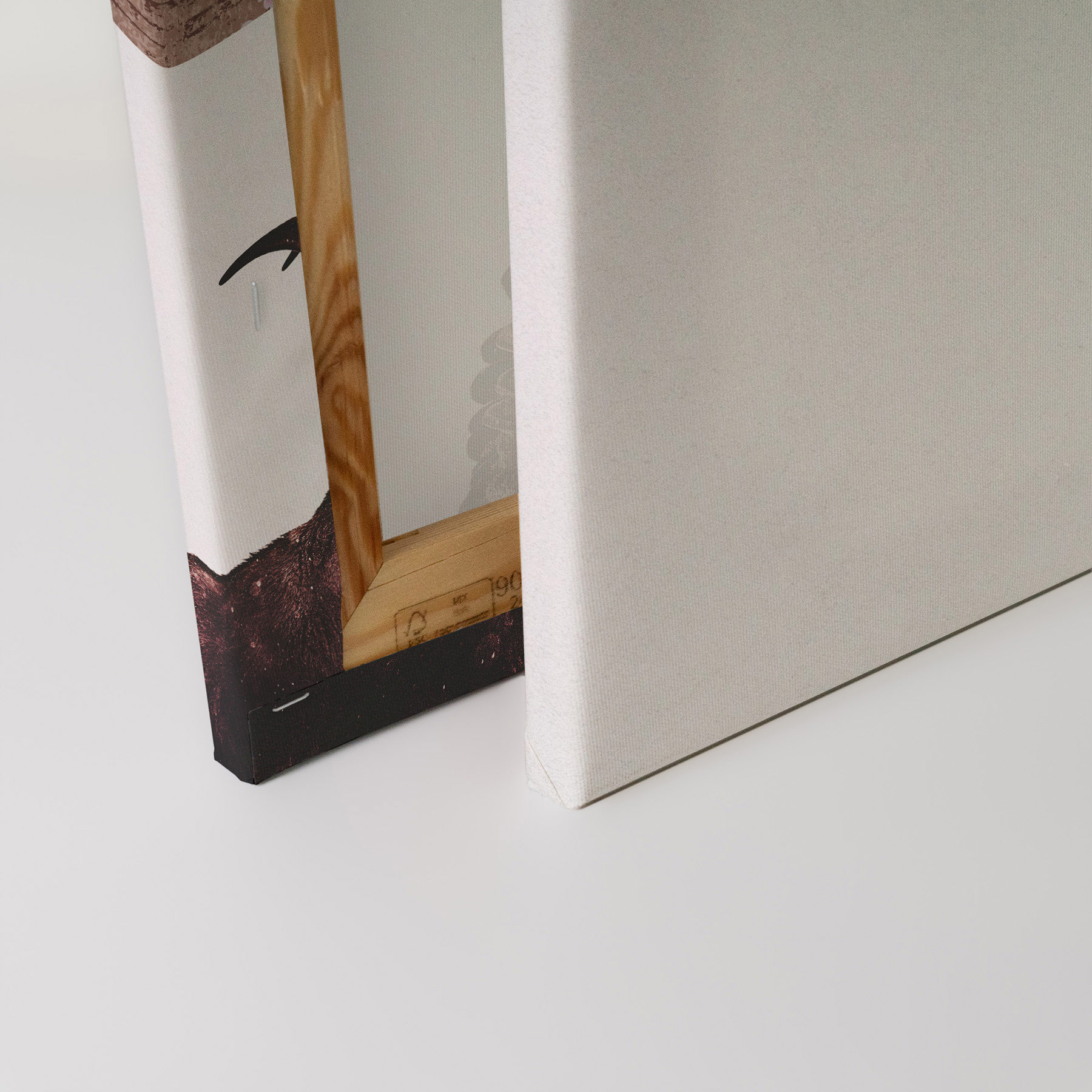 AS Leinwandbild Capricorn Snow DD132218