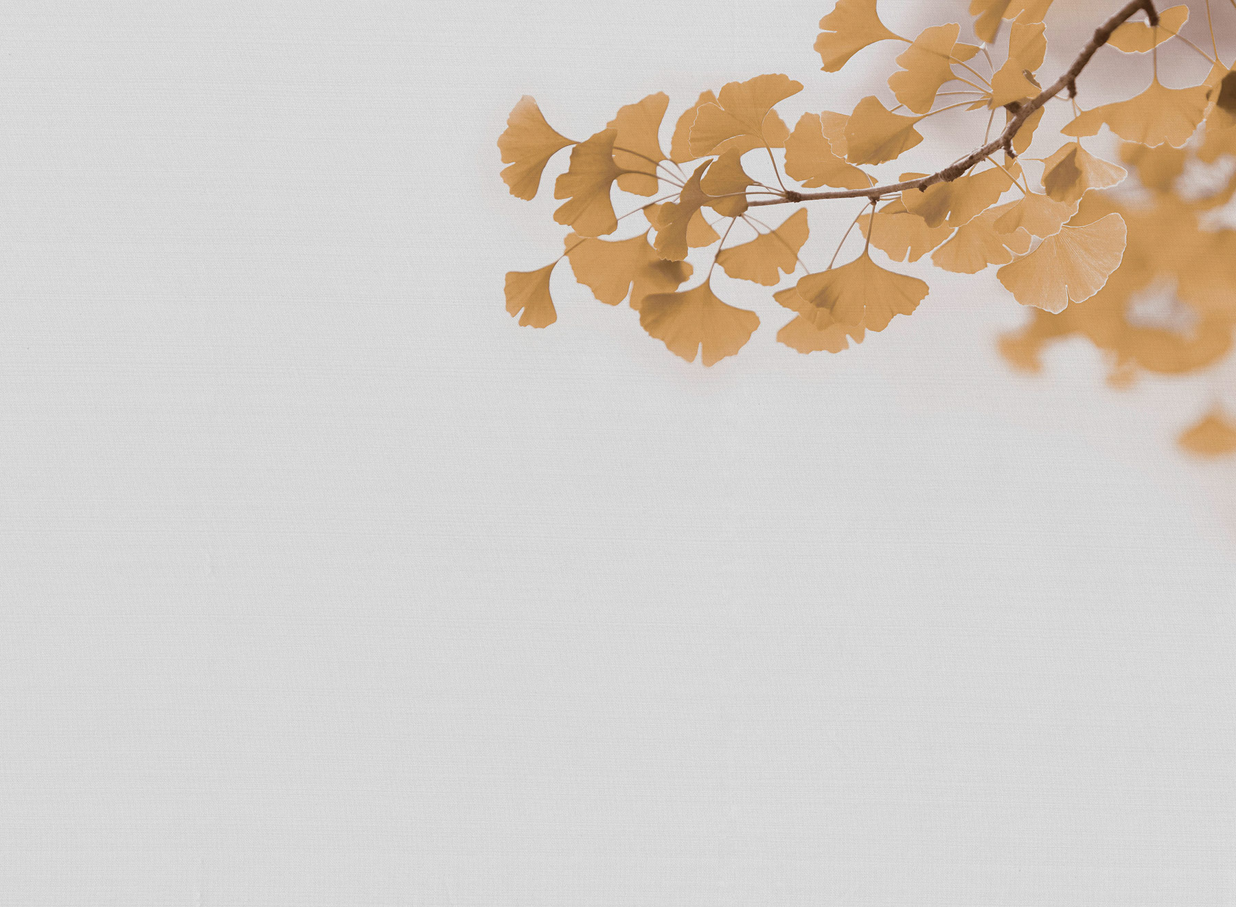 AS Fototapete Designwalls 2 Betonoptik Natur DD123470 AS Fototapete Designwalls 2 Betonoptik Natur DD123470