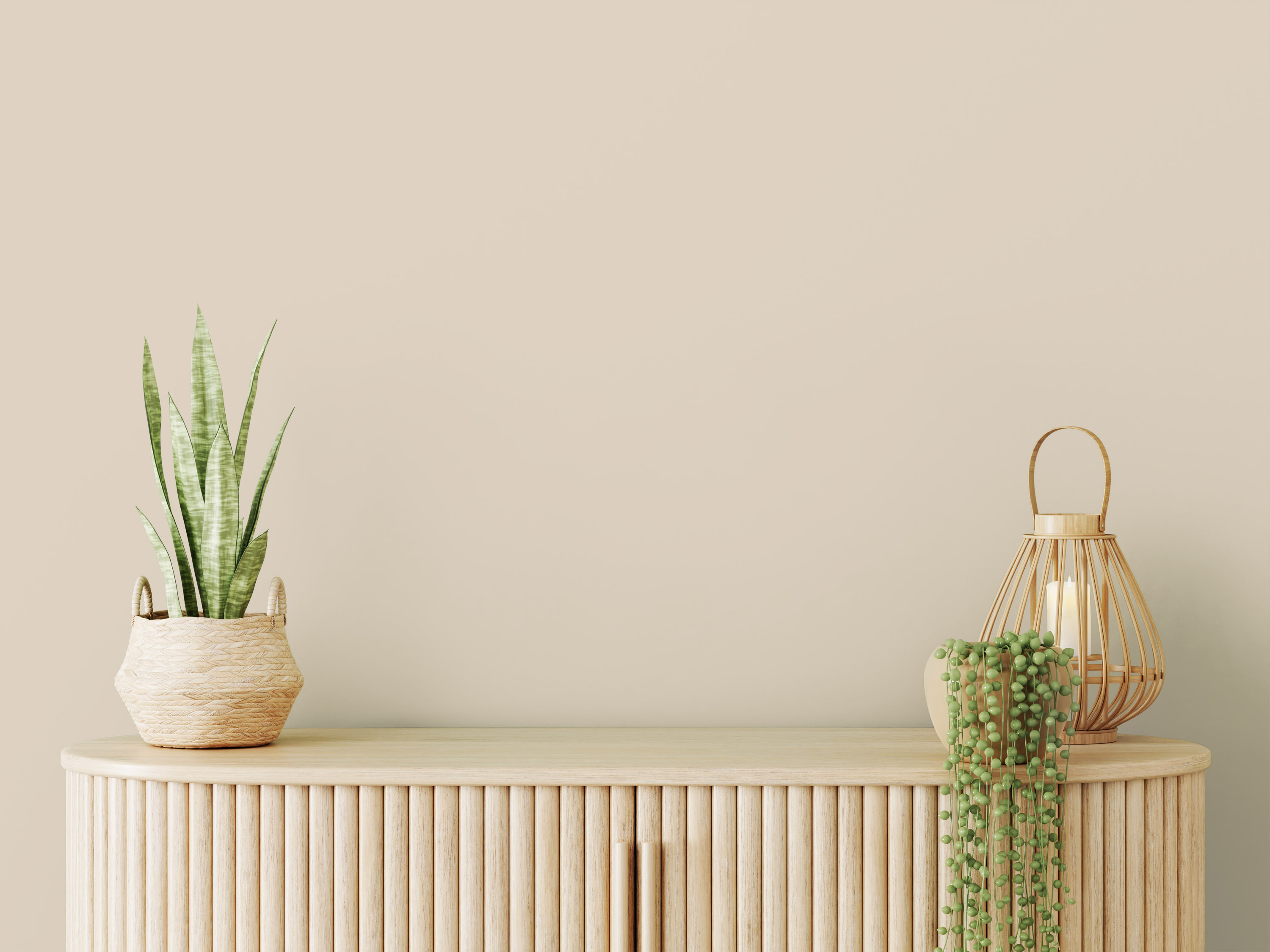 AS Wandfarbe The Color Kitchen TCK6000 Sweet Sesame 2,5 L