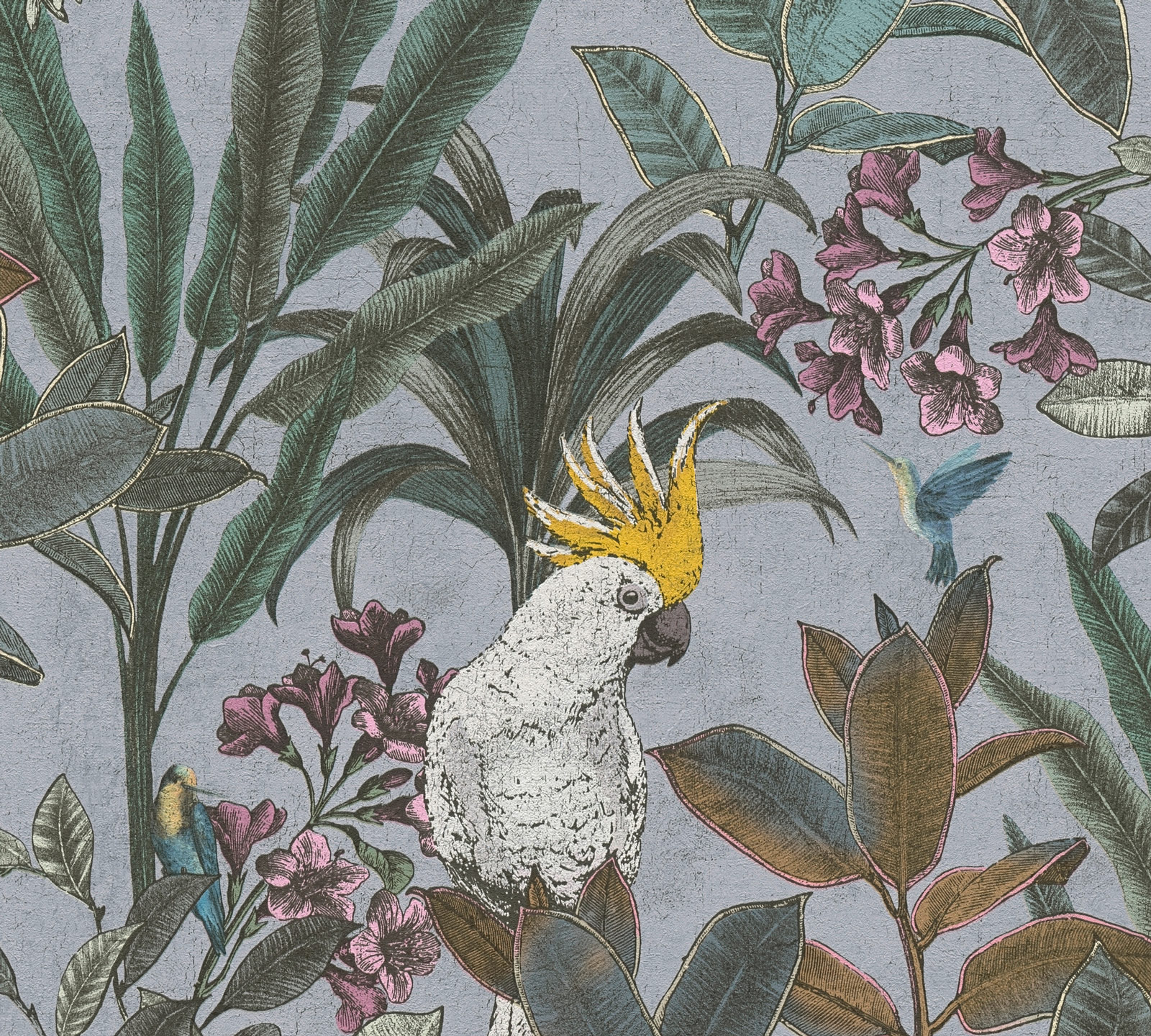 AS Vliestapete PintWalls II Papagei Grau 397483