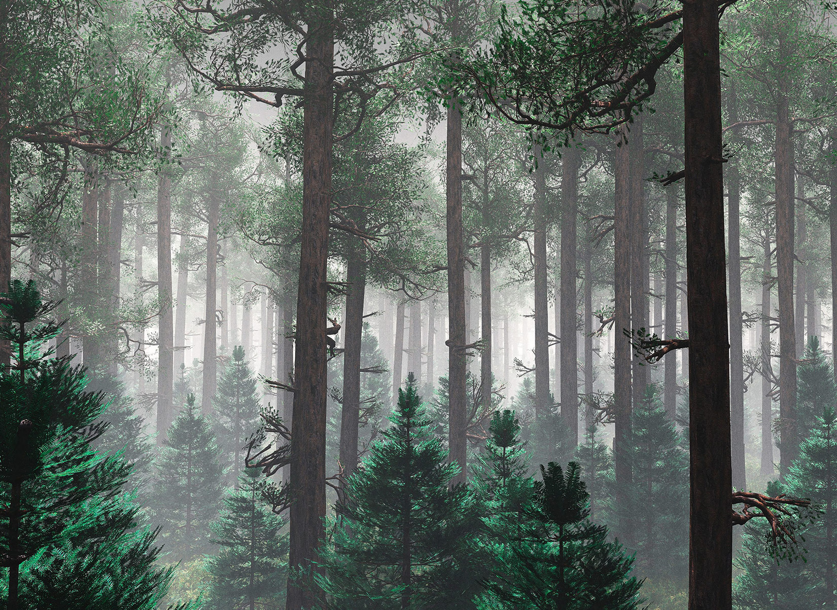 AS Fototapete Designwalls 2 Wald Bäume DD123520