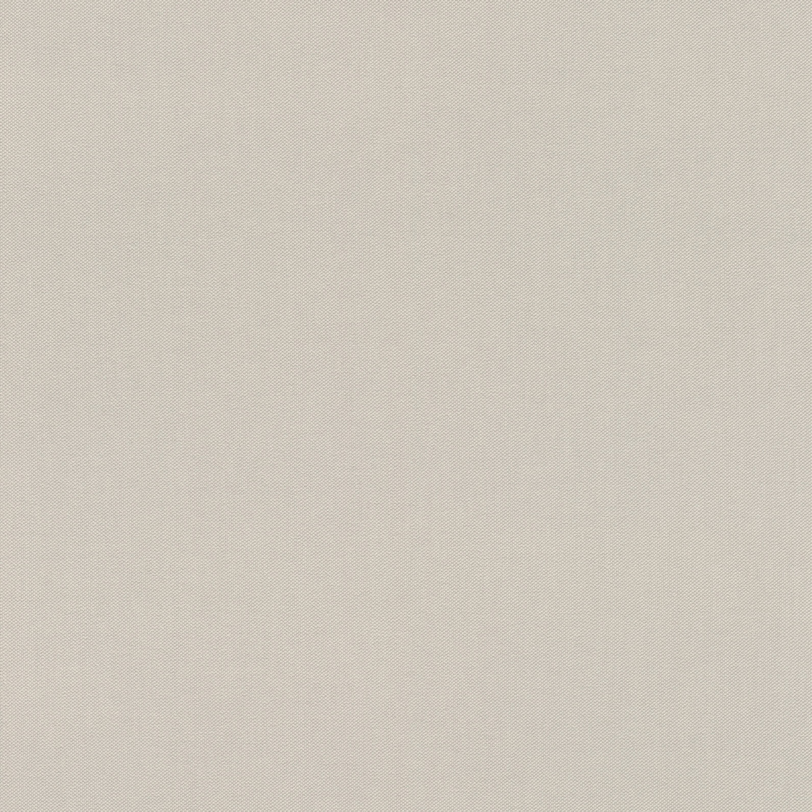 Rasch Vliestapete Allegretto Grau-Hellgrau 542479 Rasch Vliestapete Allegretto Grau-Hellgrau 542479