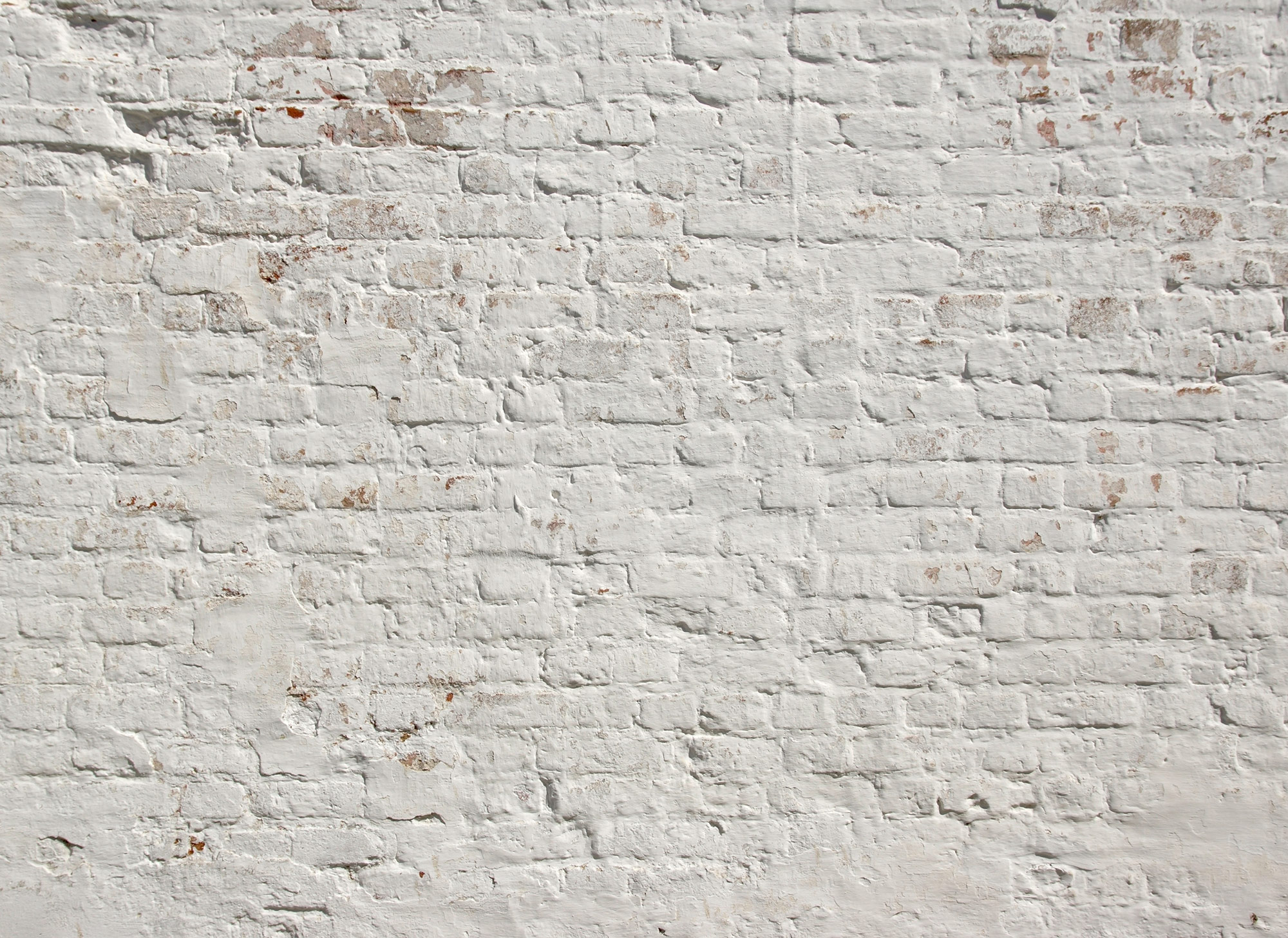AS Fototapete Designwalls BrickWhite Mauer DD118785