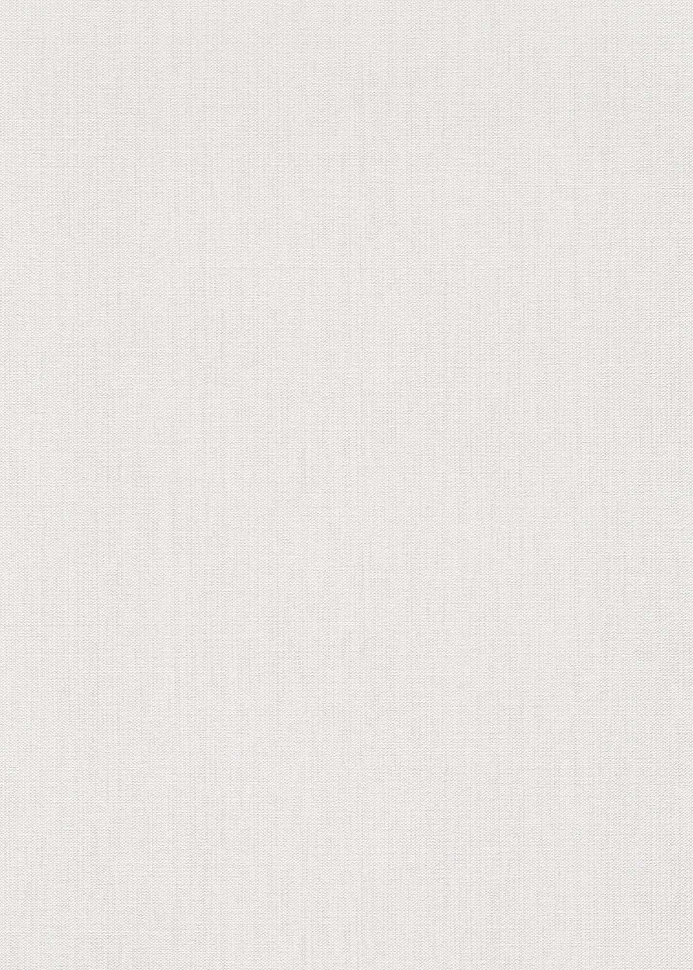 Erismann Vliestapete Forest Dreams weiß 1055901