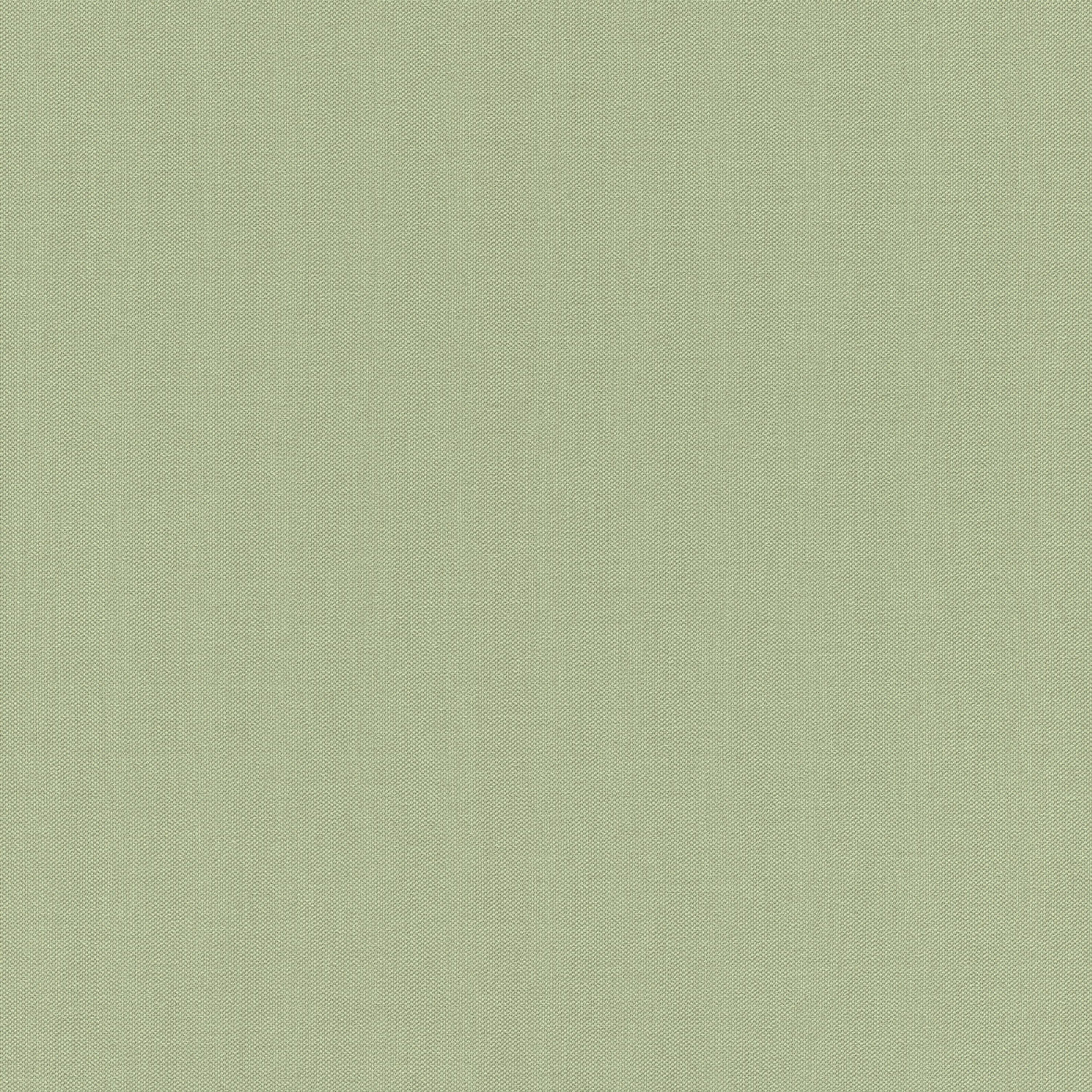 Rasch Vliestapete Allegretto Grün-Salbei 423938