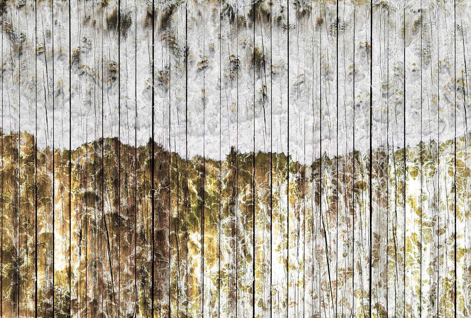 AS Fototapete Atelier 47 Beachboard DD117340 AS Fototapete Atelier 47 Beachboard DD117340