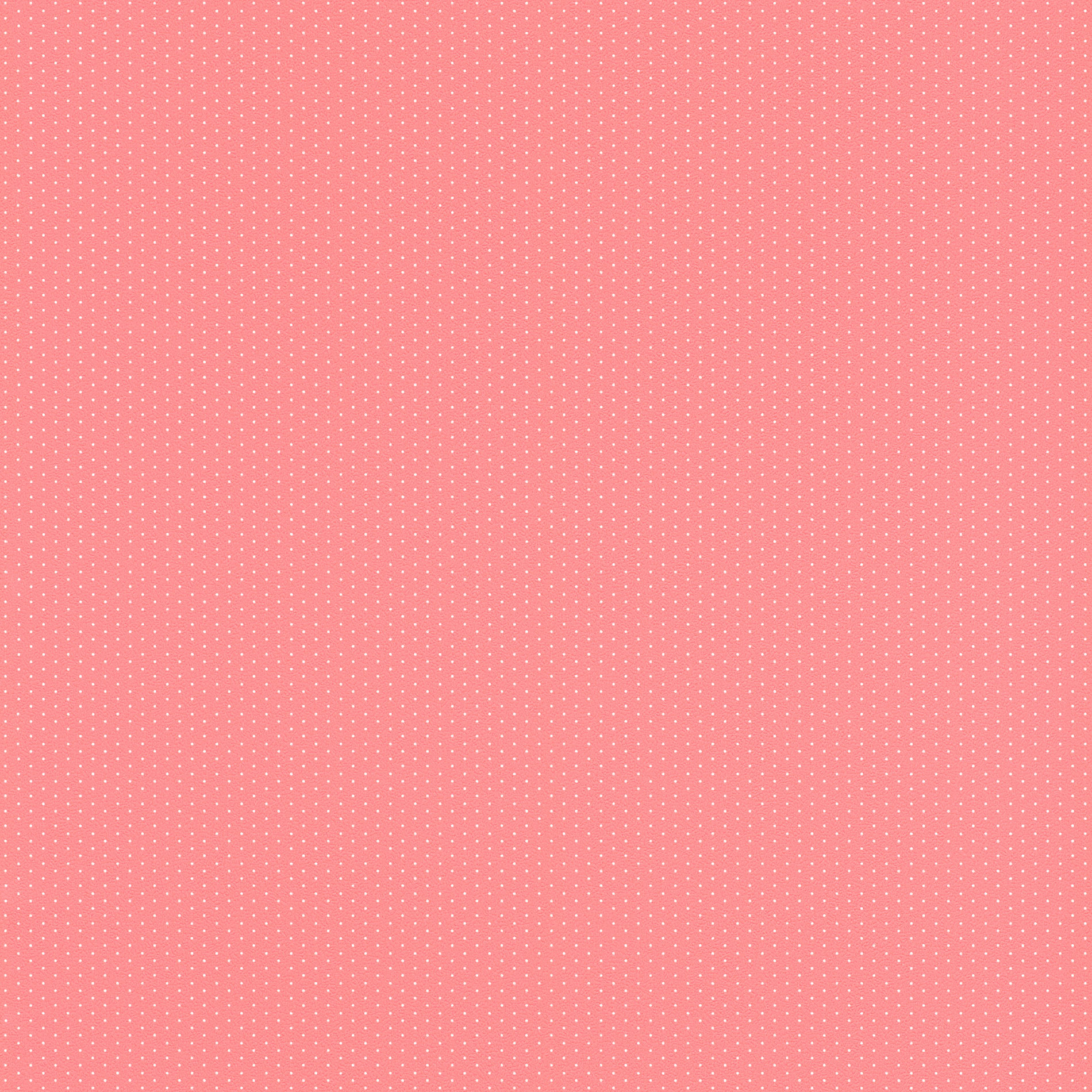 Rasch Textil Vliestapete Petite Fleur 5 Punkte 288505