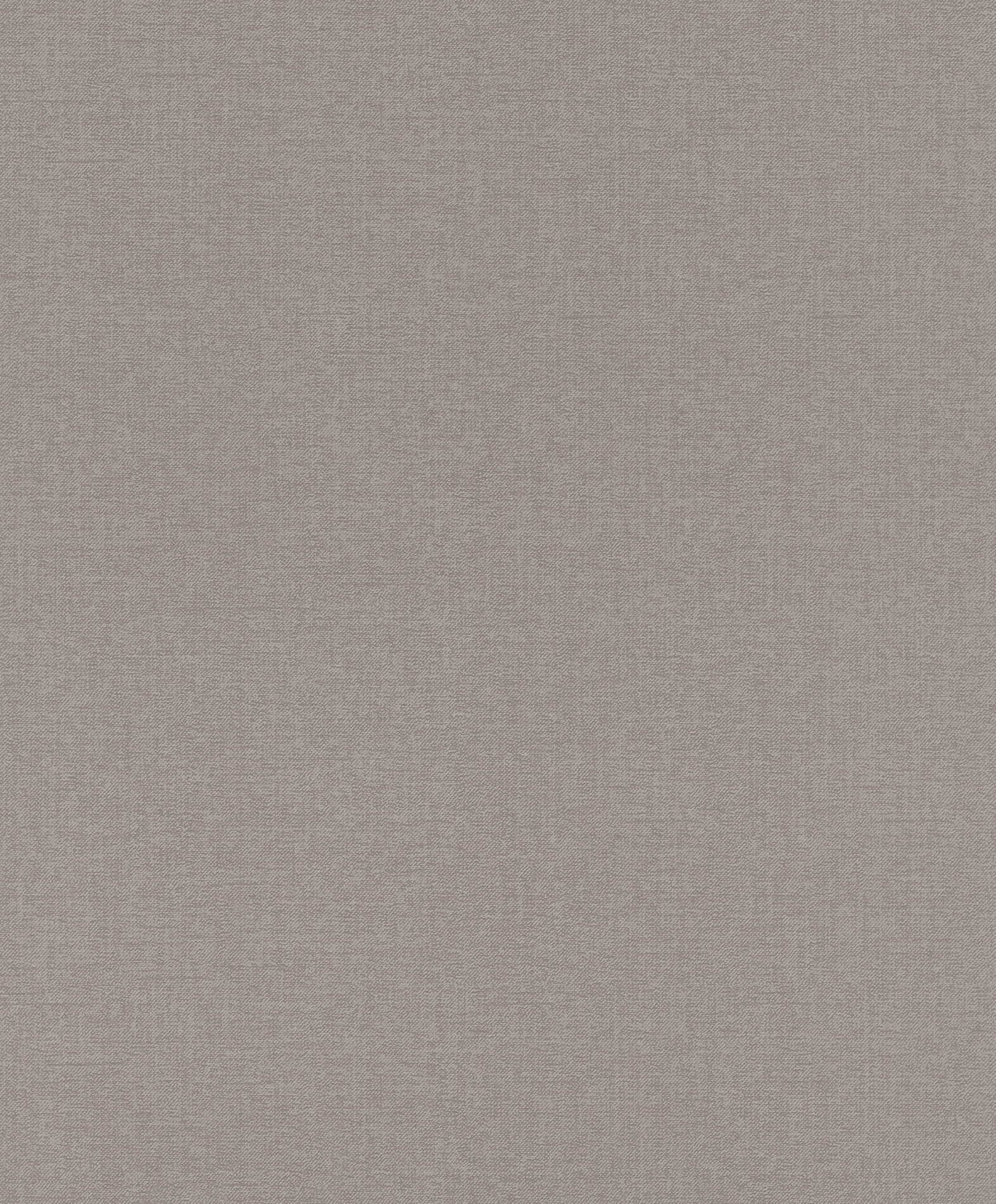 Emil & Hugo Vliestapete Bloomsbury 302218