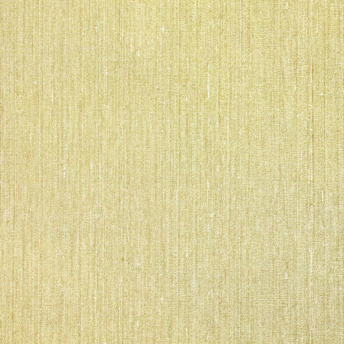 Hohenberger Vliestapete Yuuma Shinjo 27537