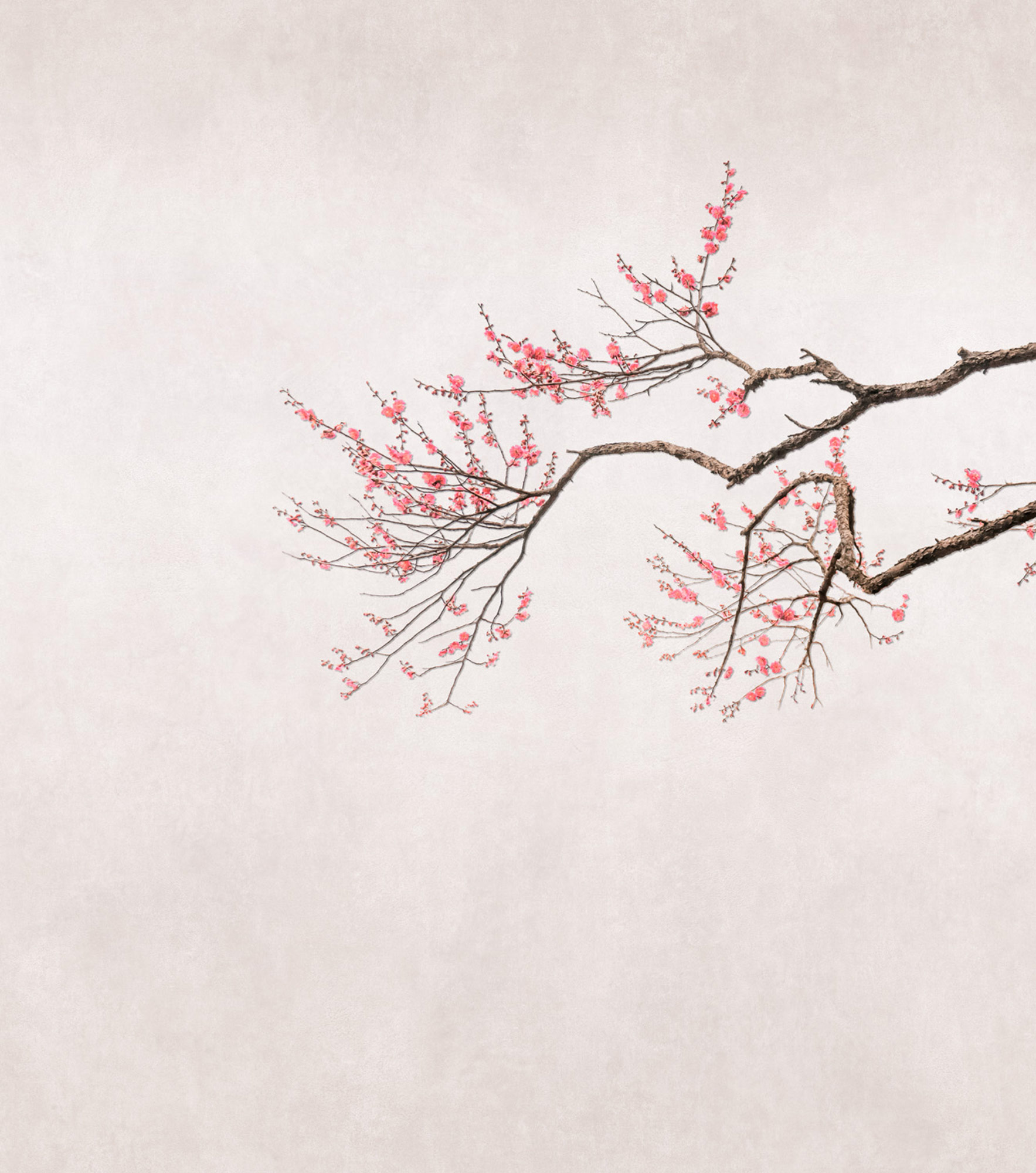 Rasch Fototapete Magic Walls Asien 361087