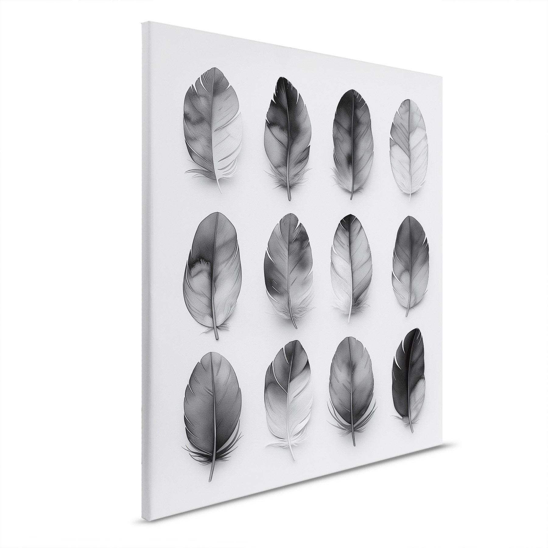 AS Leinwandbild Feathers Grey DD132893