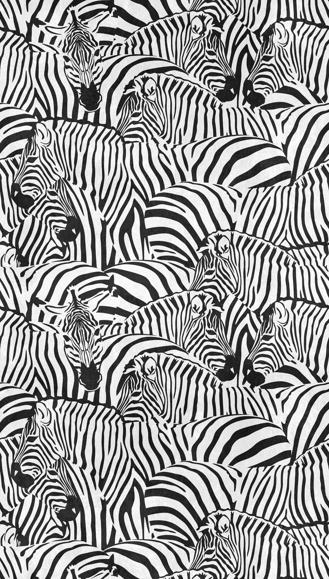 Livingwalls Vliestapete The Wall 3 Zebra 398731