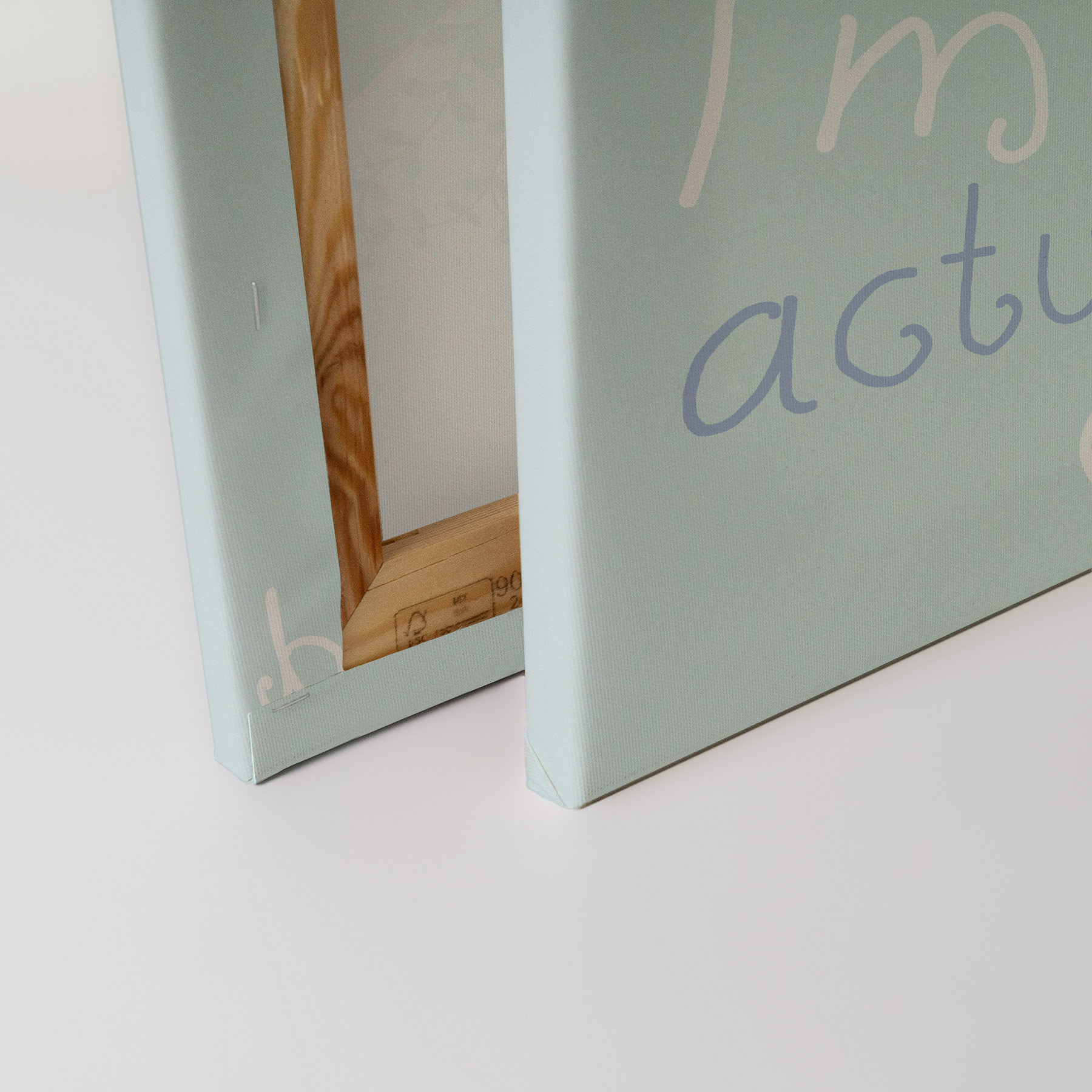 AS Leinwandbild Seafriends 1 DD129403